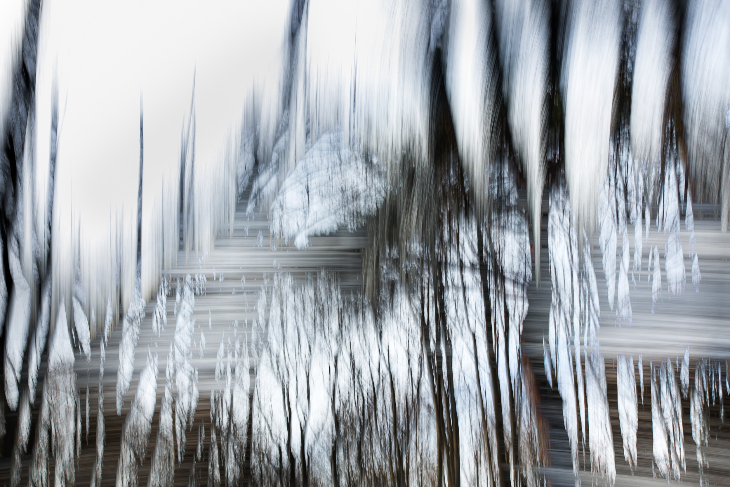 Татьяна Корчагина. Фотограф, художник. Обучение фотографии