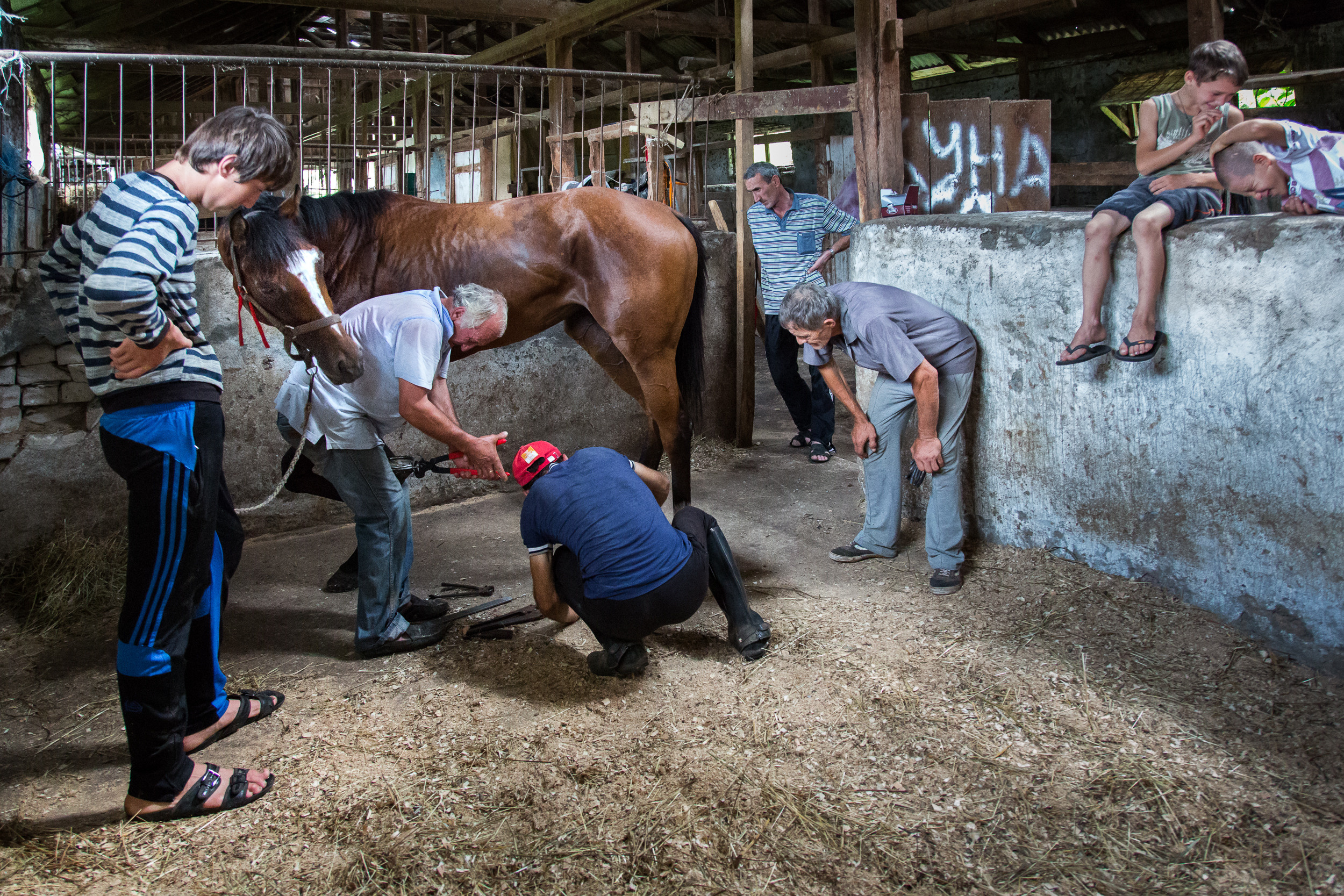 Татьяна Корчагина. Фотограф, художник. Обучение фотографии