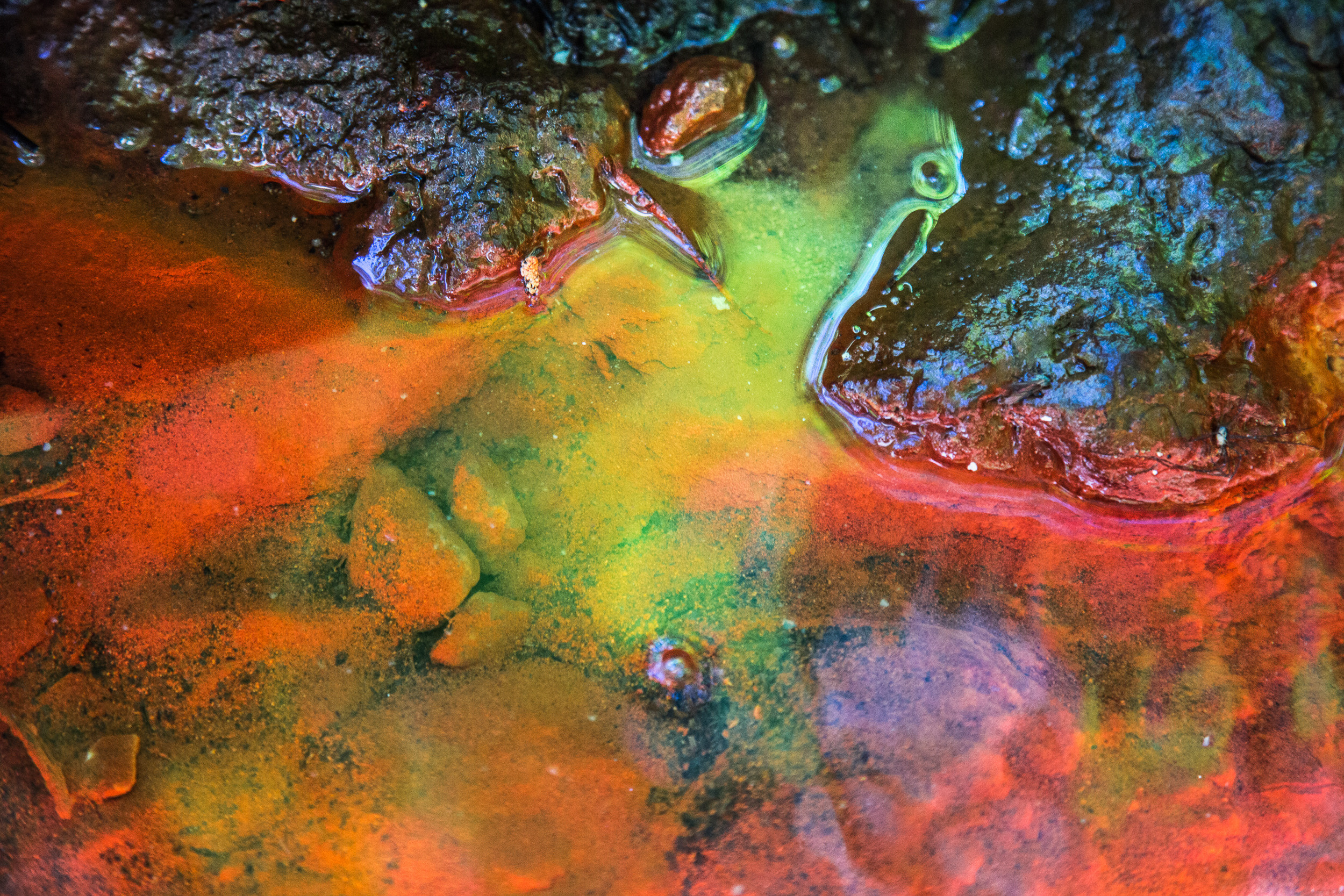 Татьяна Корчагина. Фотограф, художник. Обучение фотографии