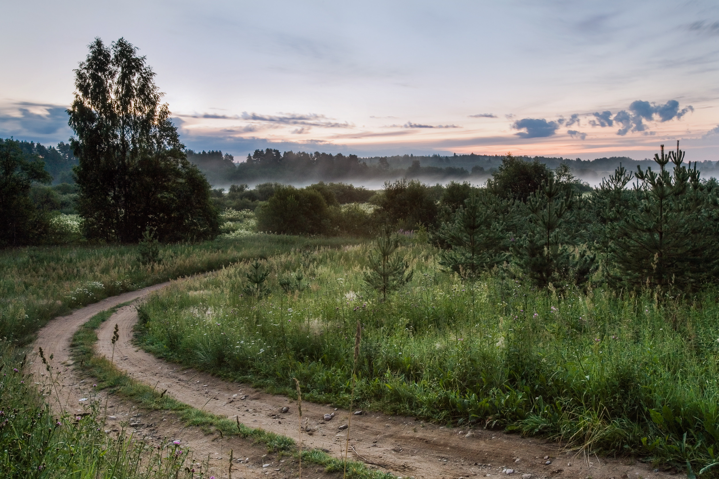 Татьяна Корчагина. Фотограф, художник. Обучение фотографии