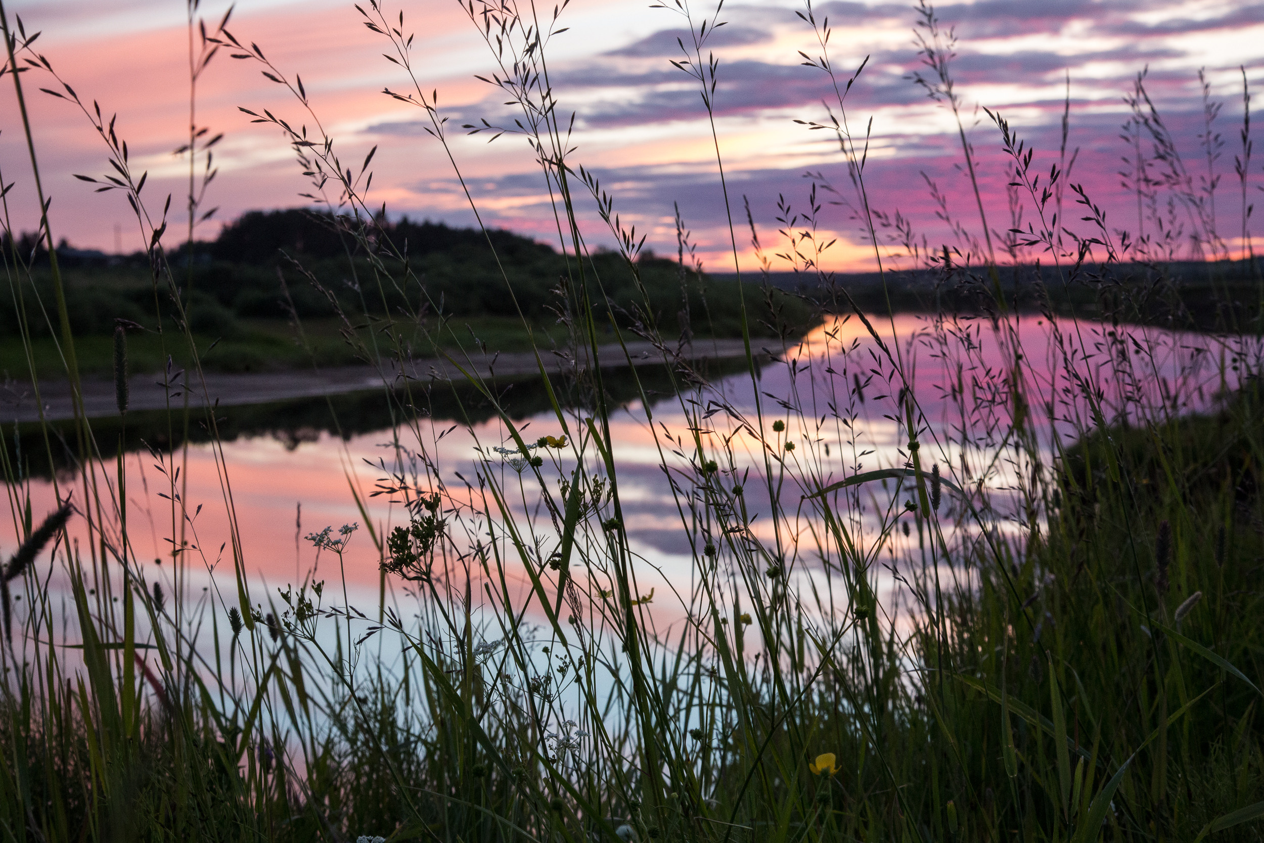 Татьяна Корчагина. Фотограф, художник. Обучение фотографии
