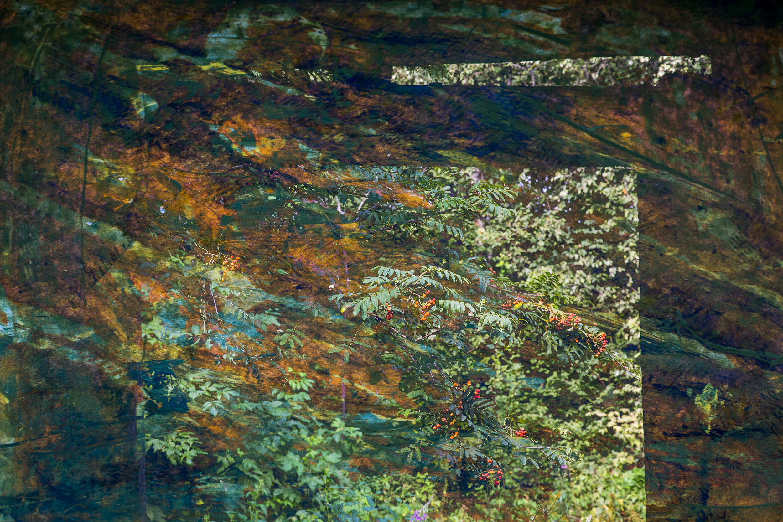 Татьяна Корчагина. Фотограф, художник. Обучение фотографии