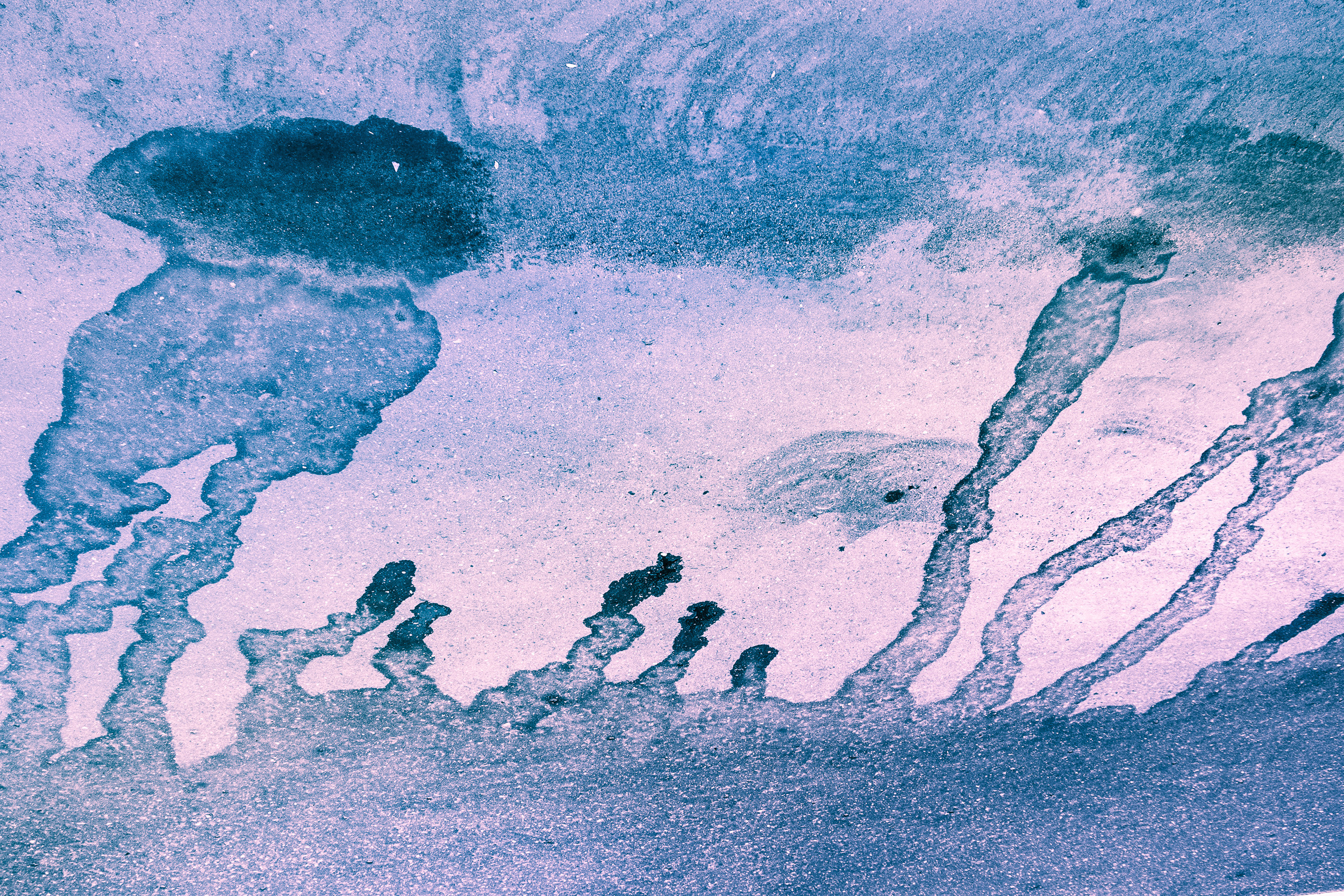 Татьяна Корчагина. Фотограф, художник. Обучение фотографии