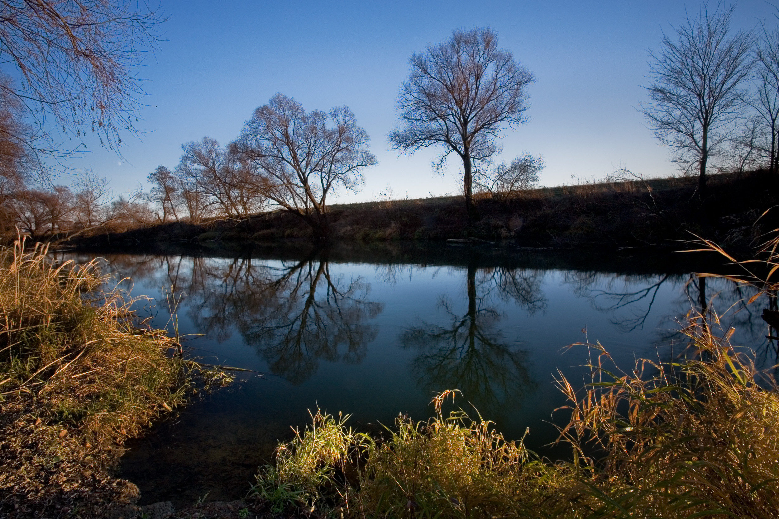 Татьяна Корчагина. Фотограф, художник. Обучение фотографии