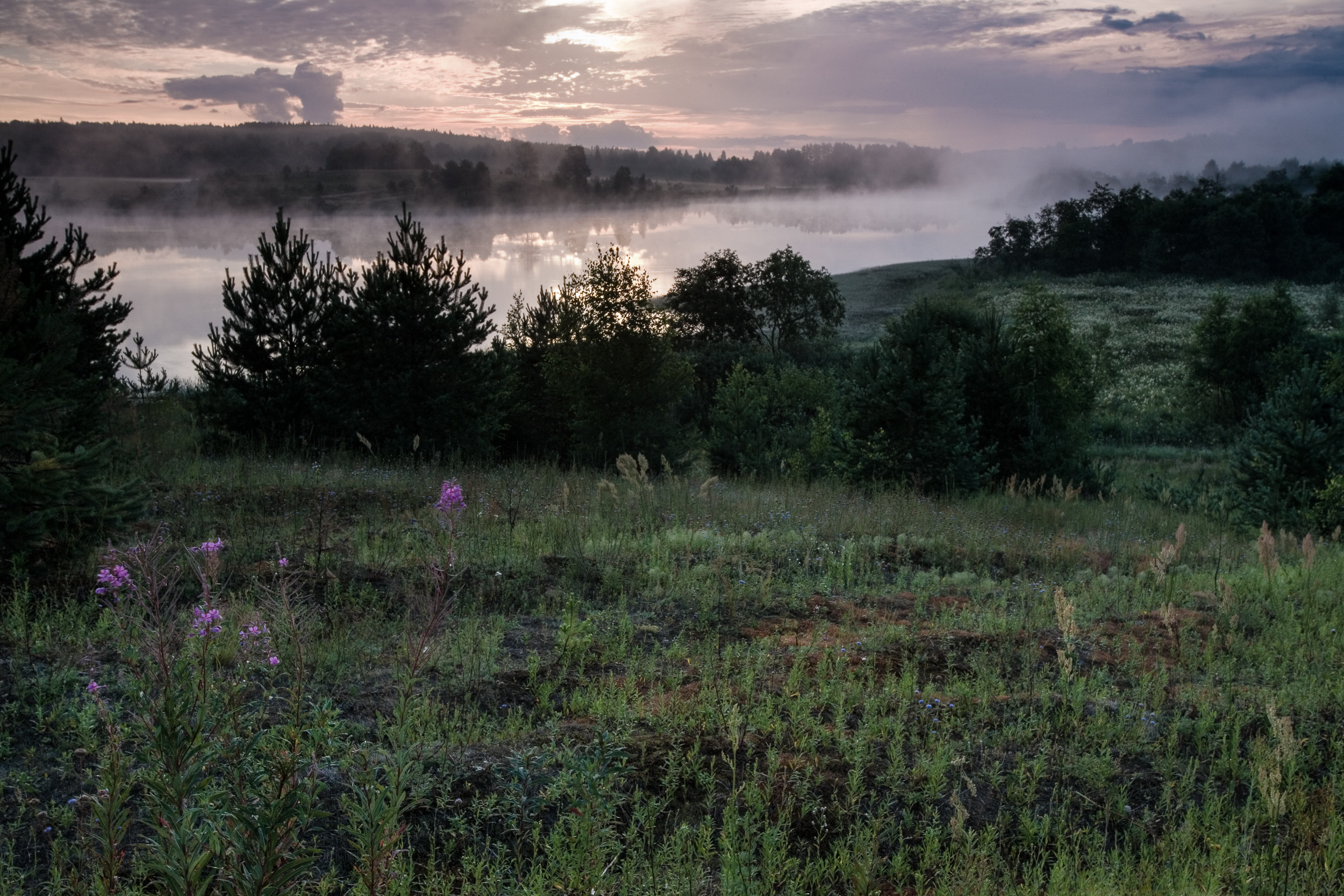 Татьяна Корчагина. Фотограф, художник. Обучение фотографии