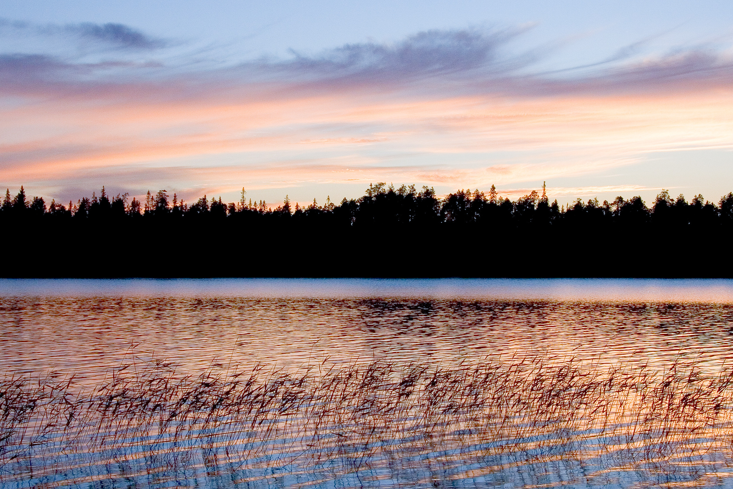 Татьяна Корчагина. Фотограф, художник. Обучение фотографии