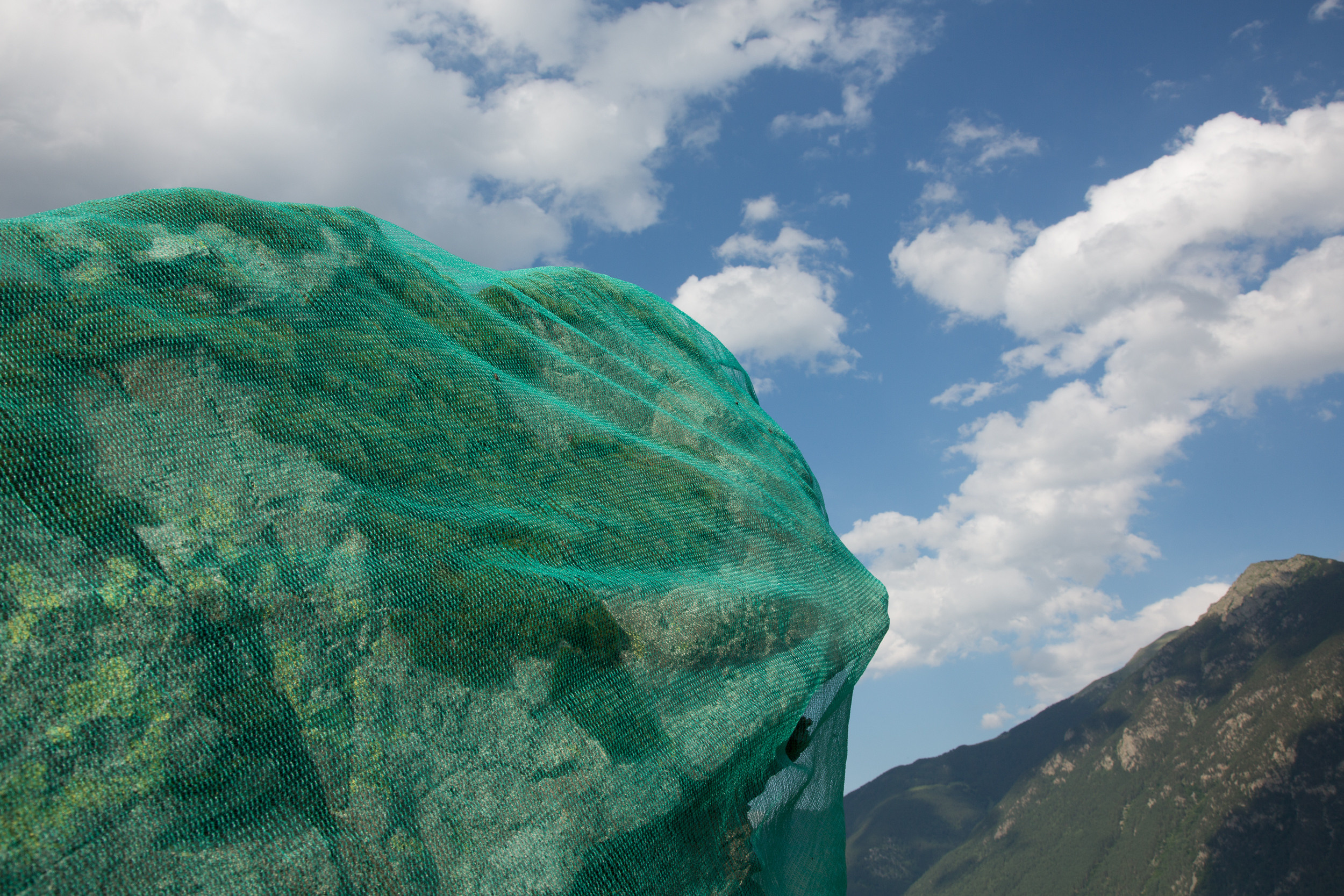 Татьяна Корчагина. Фотограф, художник. Обучение фотографии