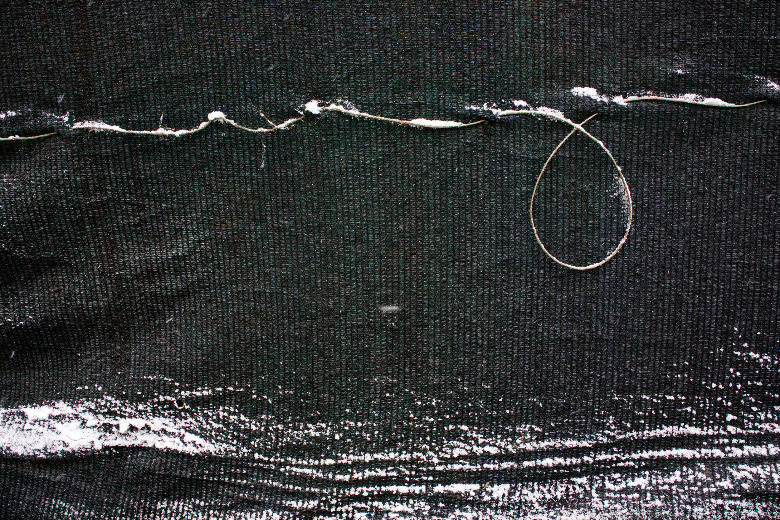 Татьяна Корчагина. Фотограф, художник. Обучение фотографии