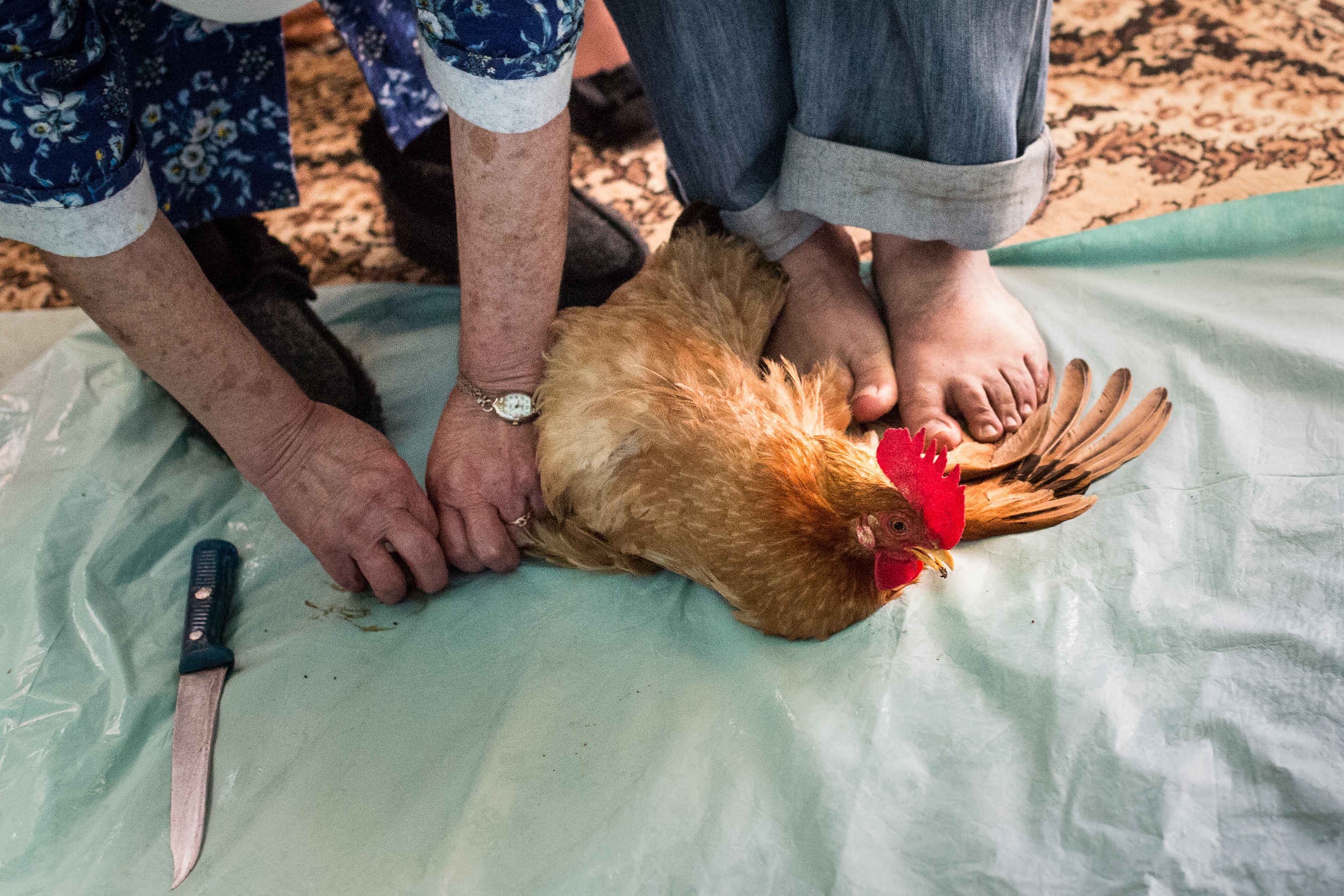 Татьяна Корчагина. Фотограф, художник. Обучение фотографии