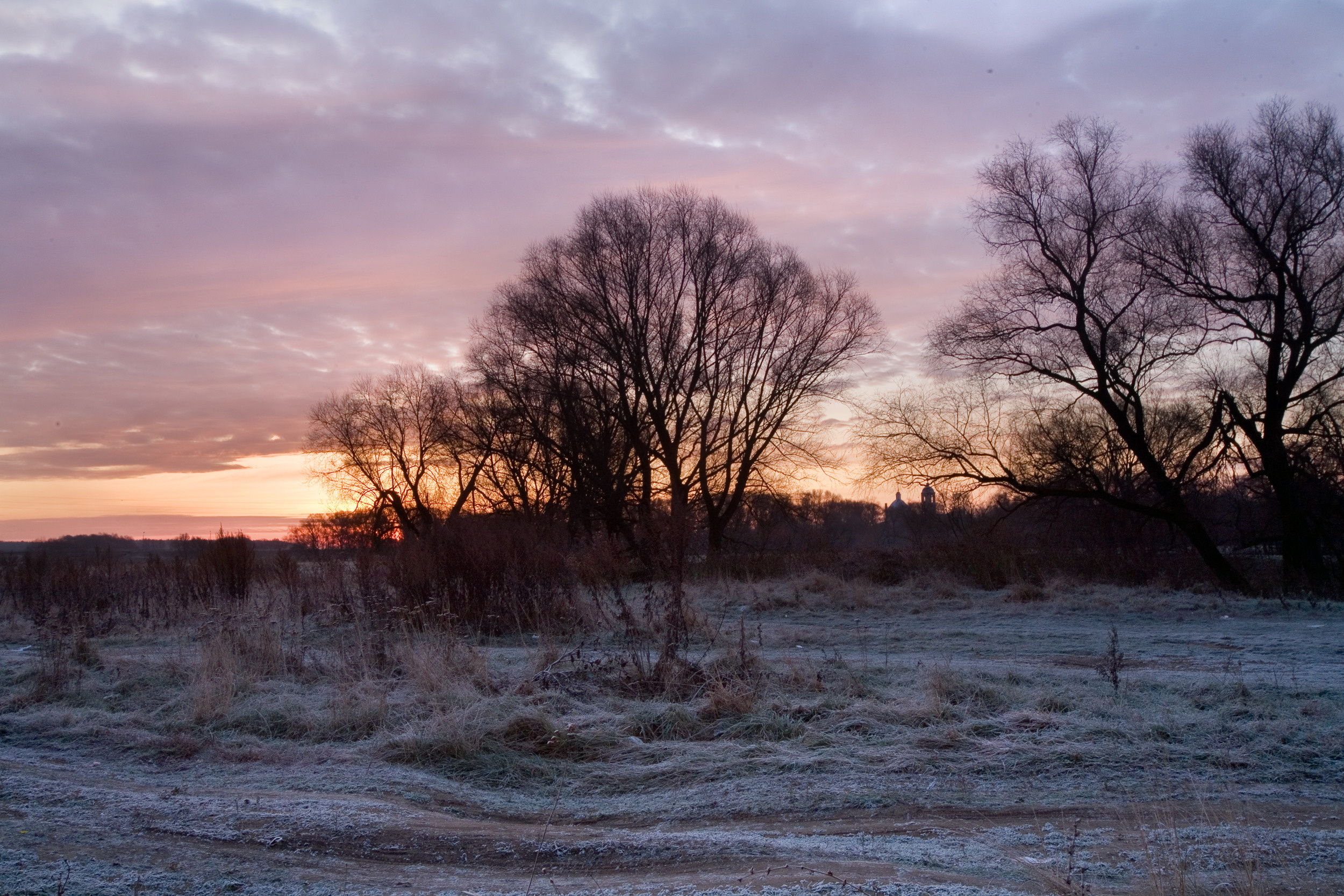 Татьяна Корчагина. Фотограф, художник. Обучение фотографии
