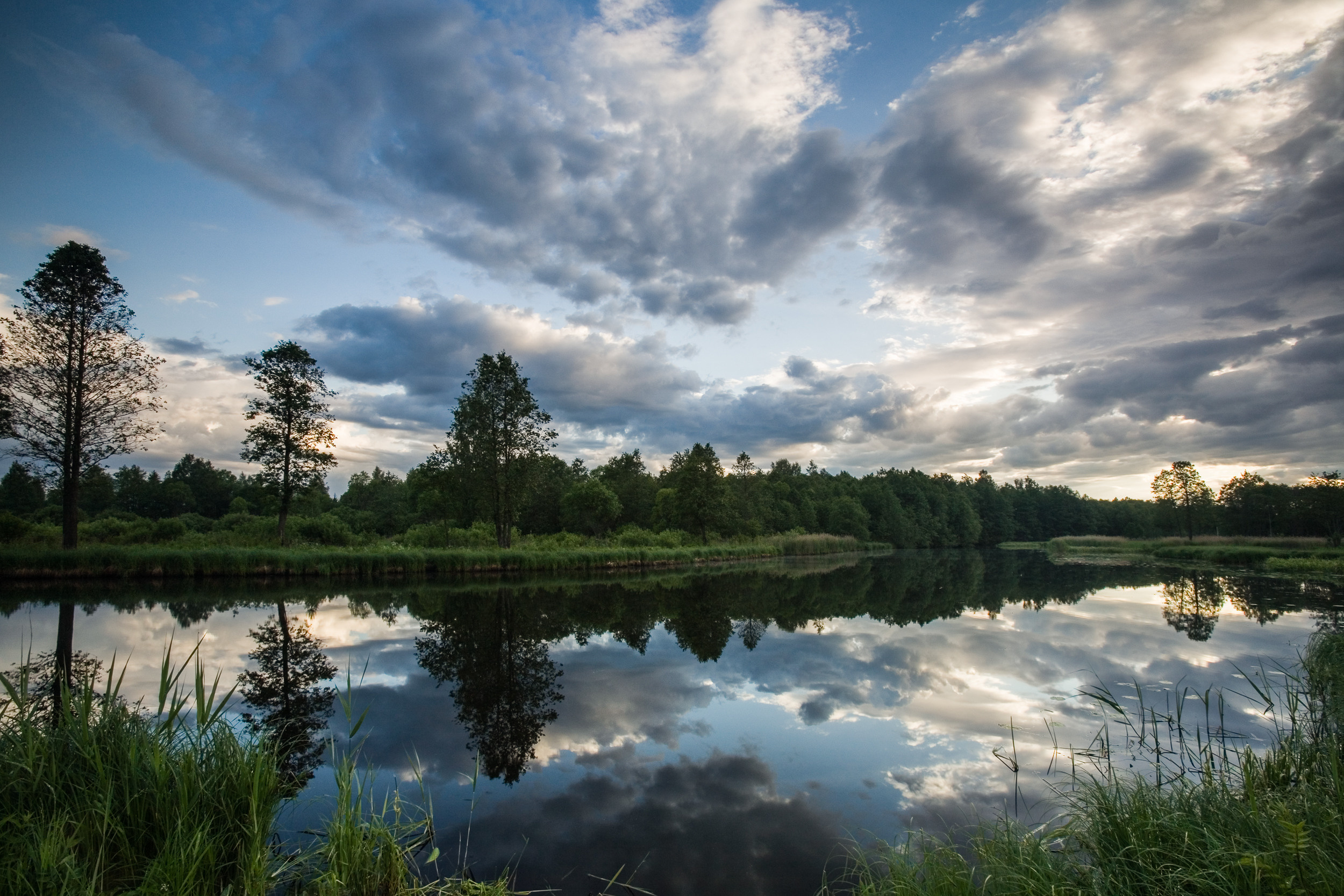 Татьяна Корчагина. Фотограф, художник. Обучение фотографии