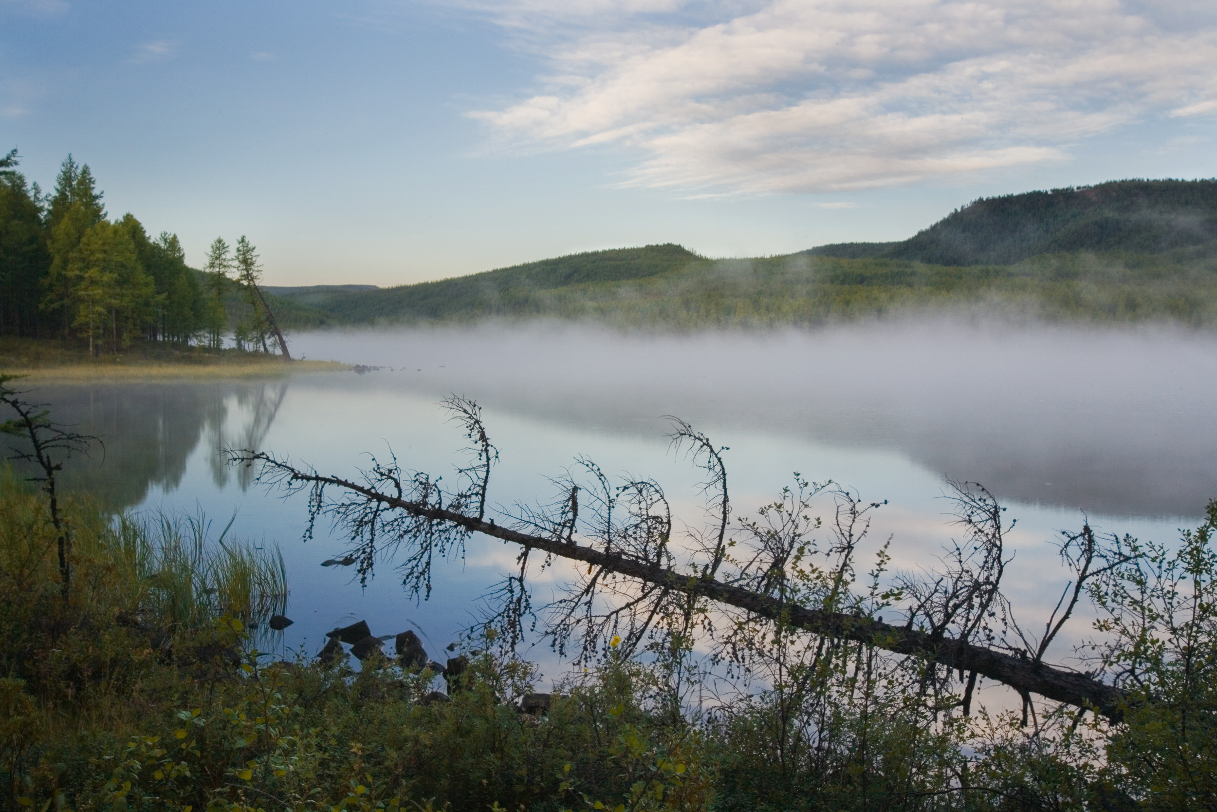 Татьяна Корчагина. Фотограф, художник. Обучение фотографии