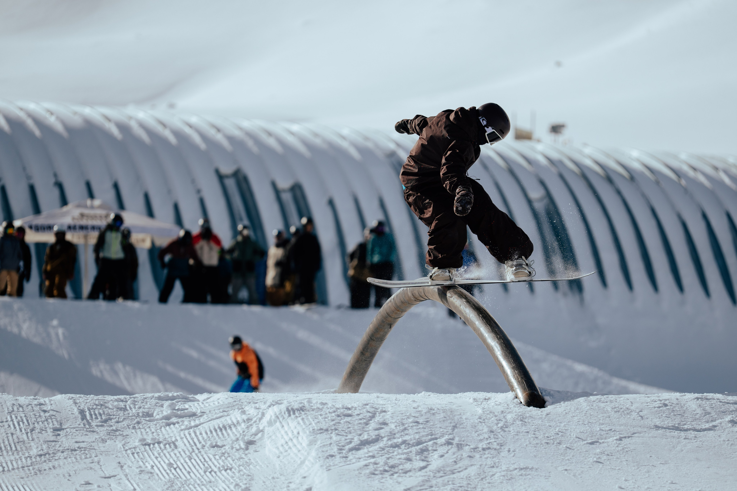 Imba Park Nut Contest 24.01.2026. Gorillaenergymedia