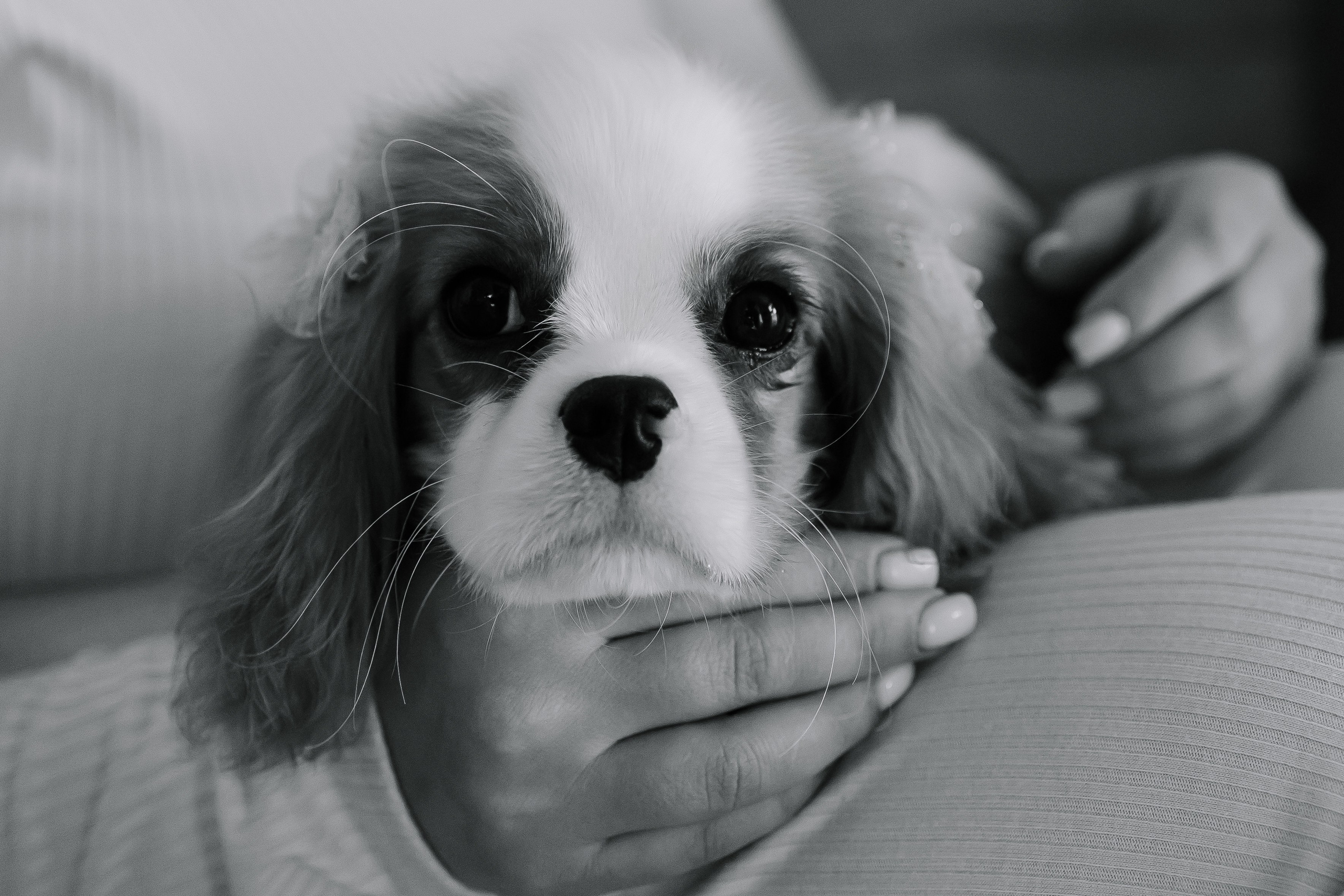 Хочу надеть купальник (Николаево). Свадебный фотограф