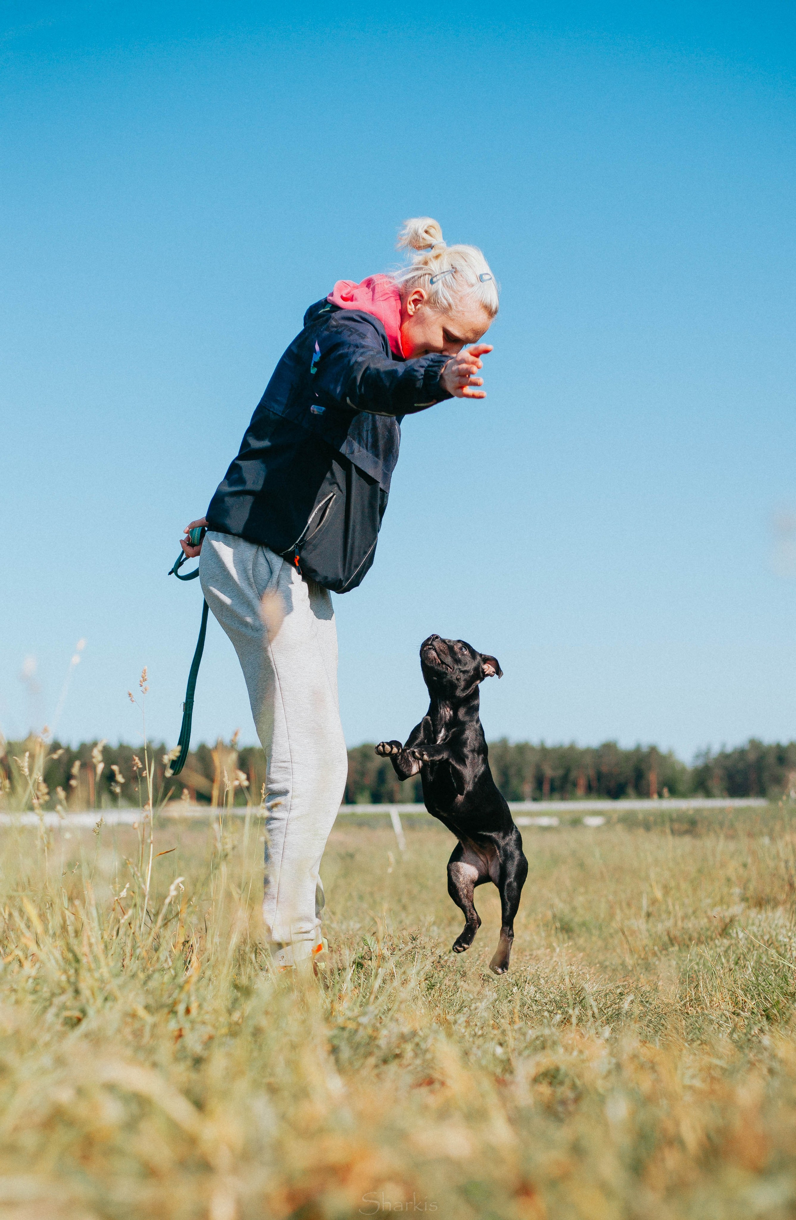 Тсахик. BLGKV питомник собак