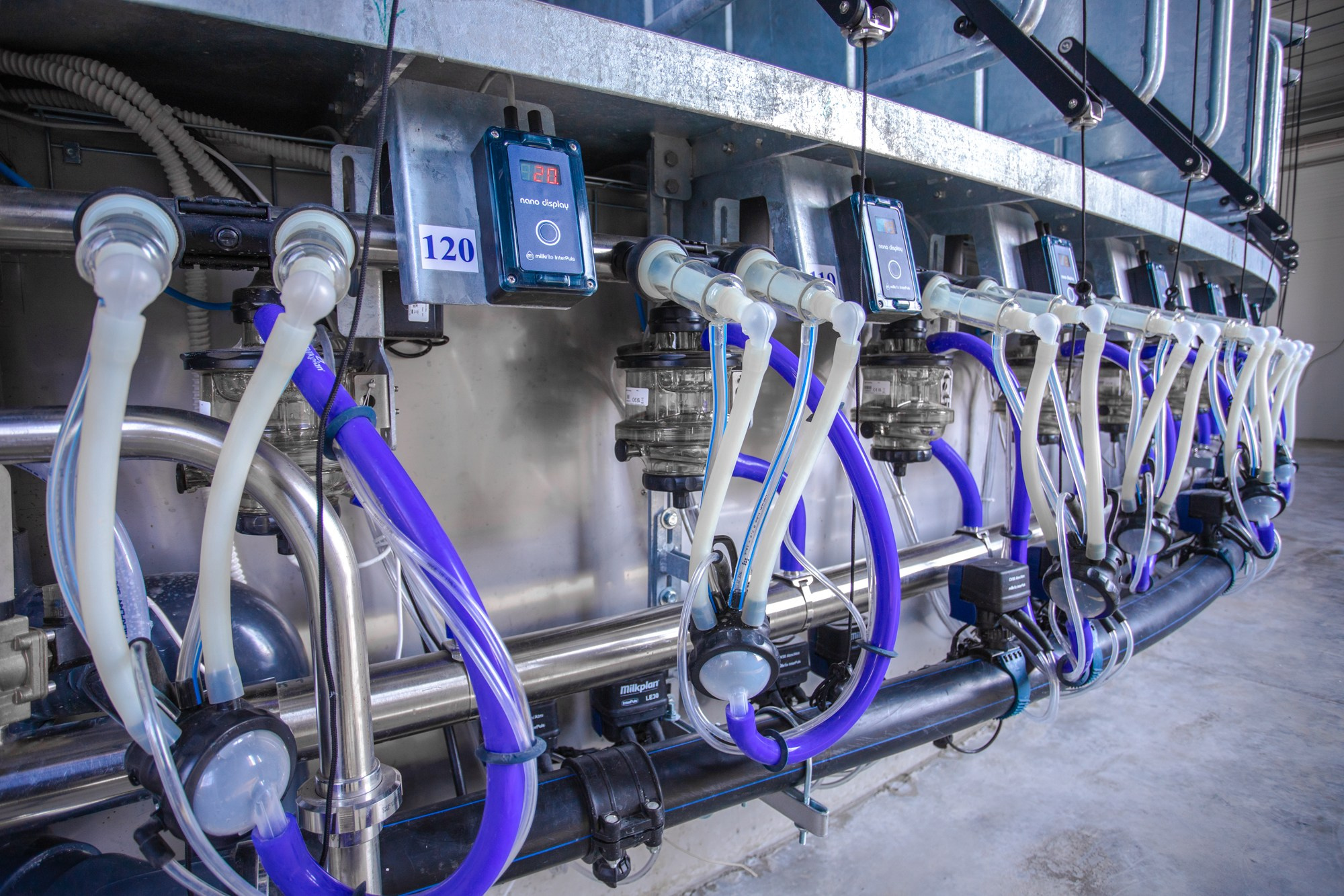 Открытие карусели для дойки скота. Репортажный, промышленный и маркетплейс-фотограф Дмитрий Чернат