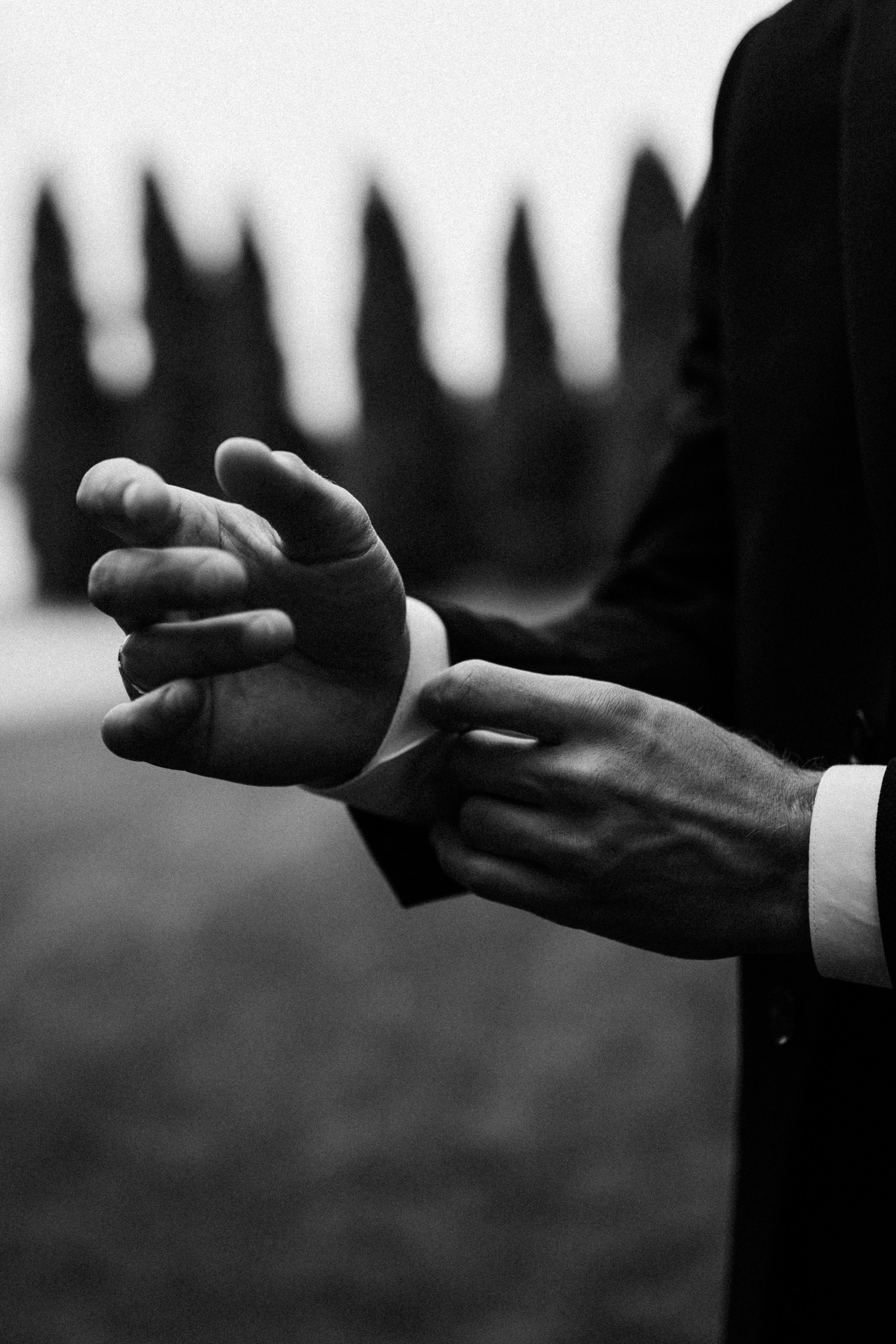 Сергей и Олеся. Фотограф Эдуарда Титанян