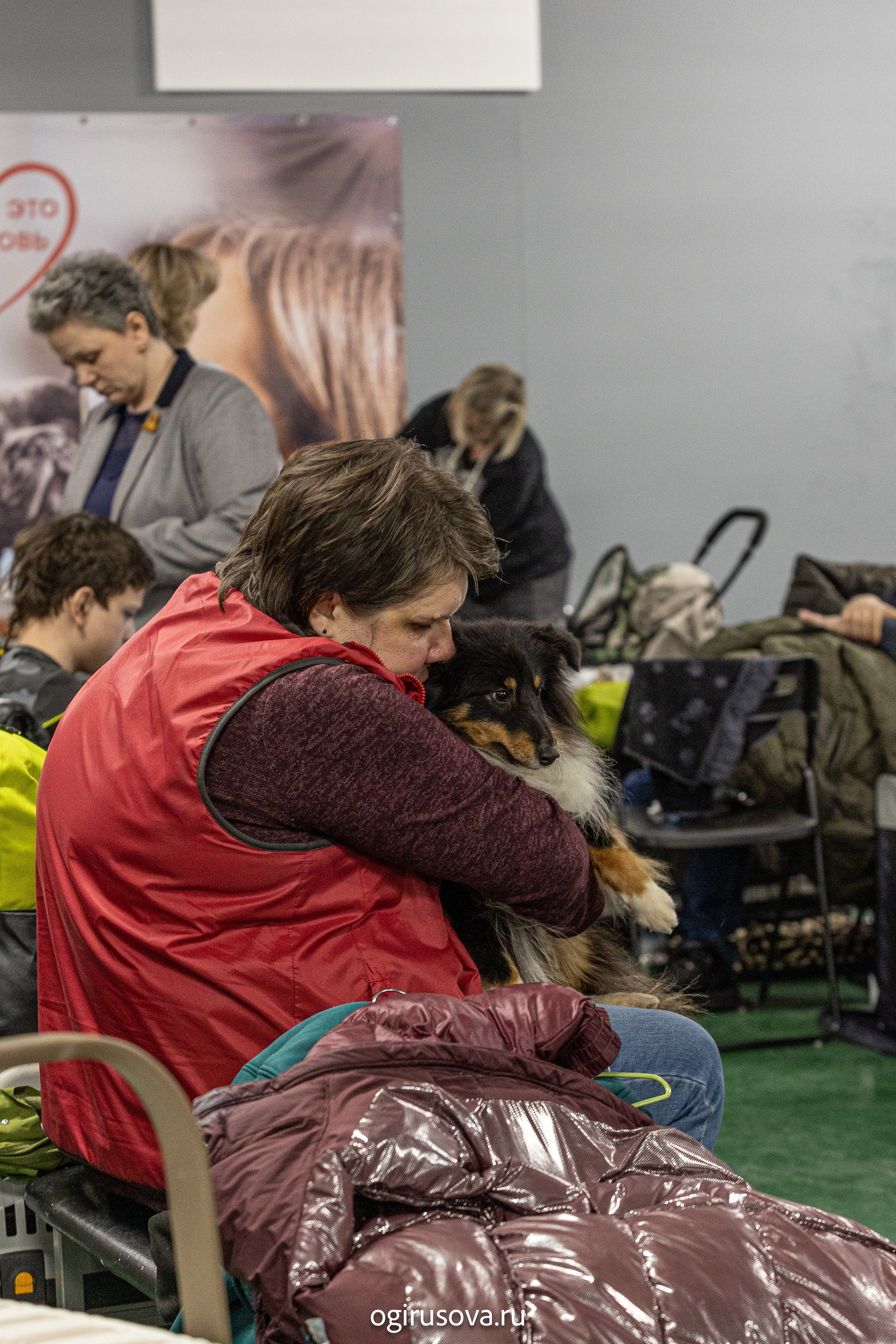 РОО КЛЖ «Олимп"+"Империя"+"Виктория».Выставка собак. Фотограф Ольга Гирусова «Пантерочка» Москва