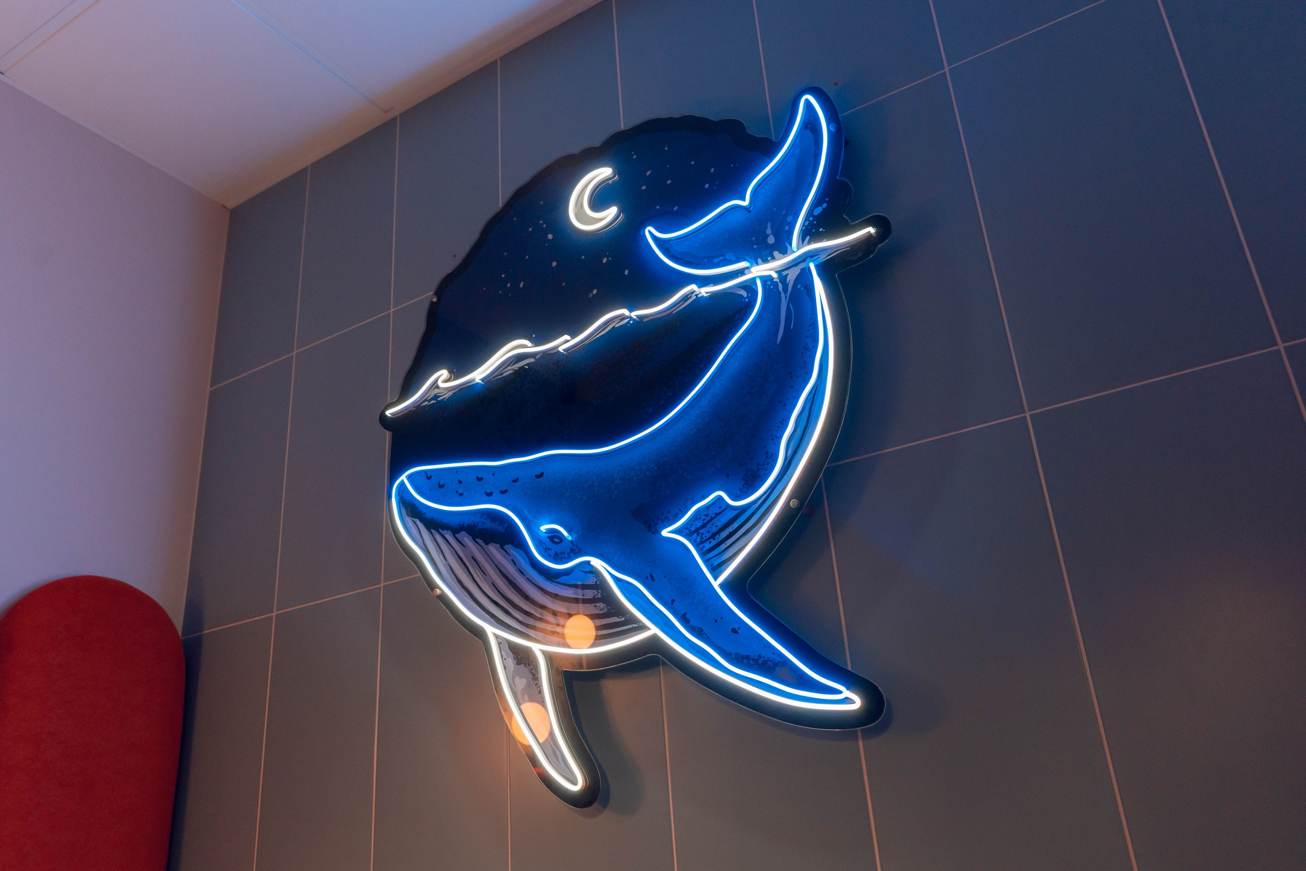 Стоматология. Фотограф из Краснодара Чеснокова Екатерина