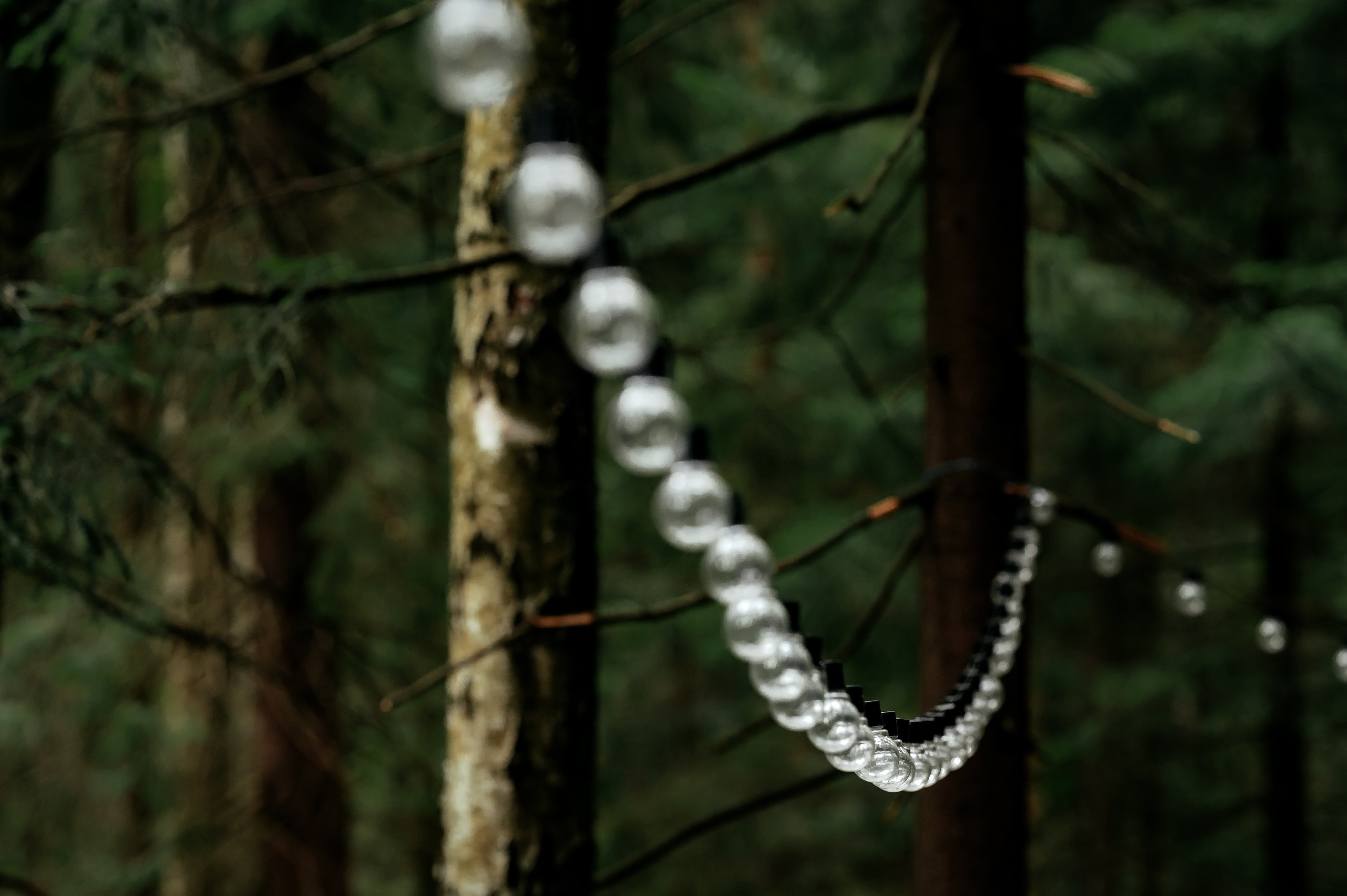 Свадебная фотоистория любви в Горки Холидей. Свадебный и семейный фотограф Виктория Носачёва. Щелково, Москва и МО