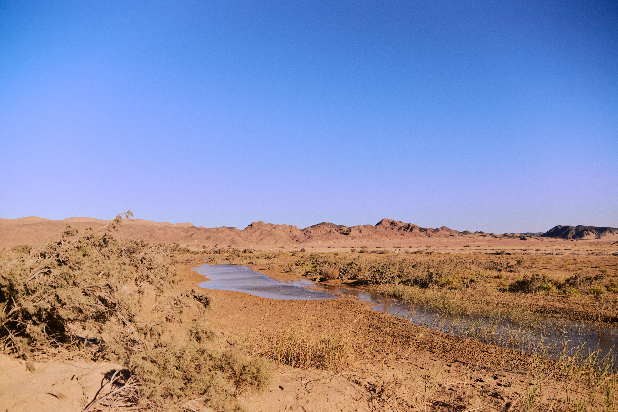 Улица горизонтальная. Jorgis — фотограф в Хургаде / обучение фотографии