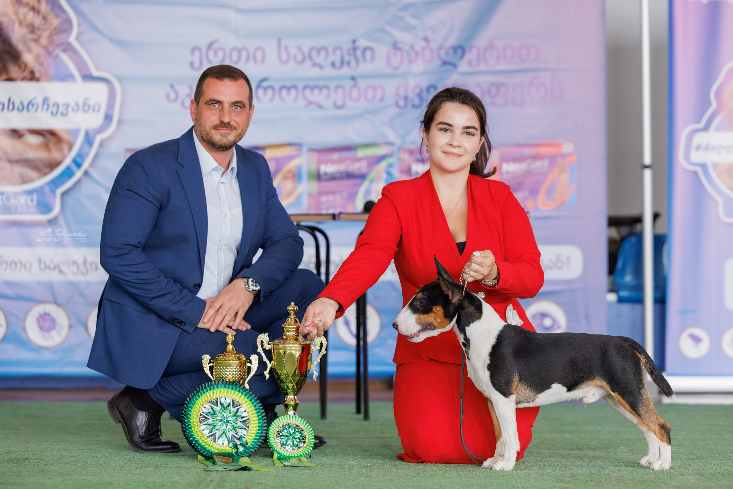 Батуми 3хCACIB 27-29.06.2025. Фотограф-анималист Юлия Германика