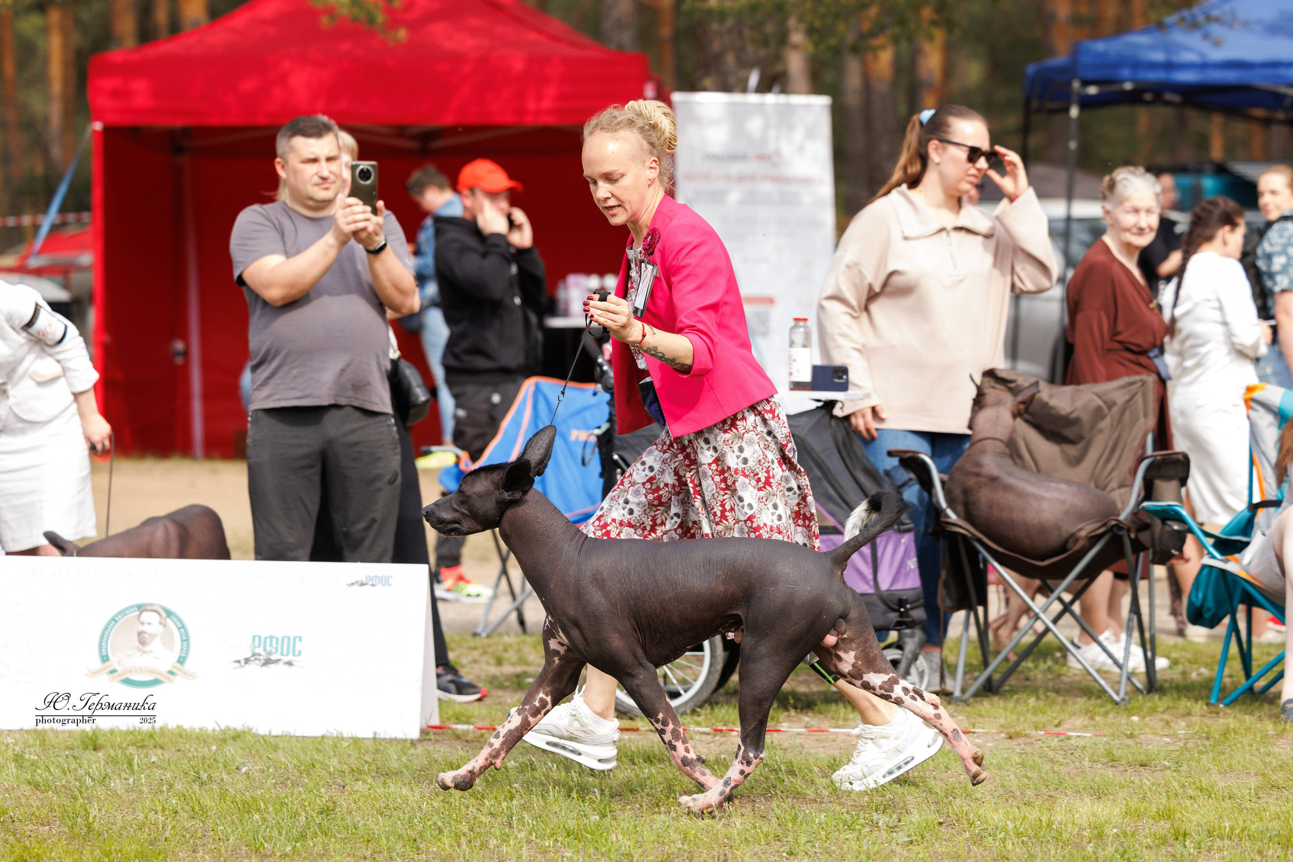 Суздаль(Владимир)17-18.05.2025. Фотограф-анималист Юлия Германика