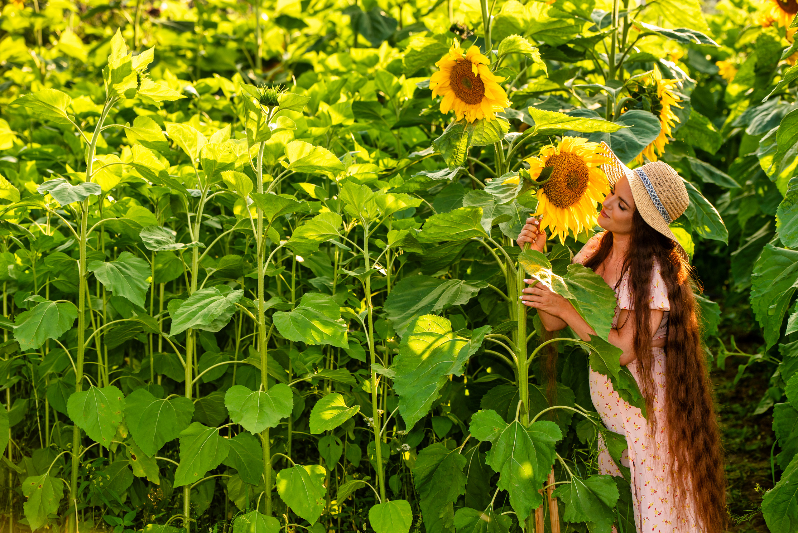Подсолнухи. Марина. Ольга Ли свадебный семейный фотограф Иркутск