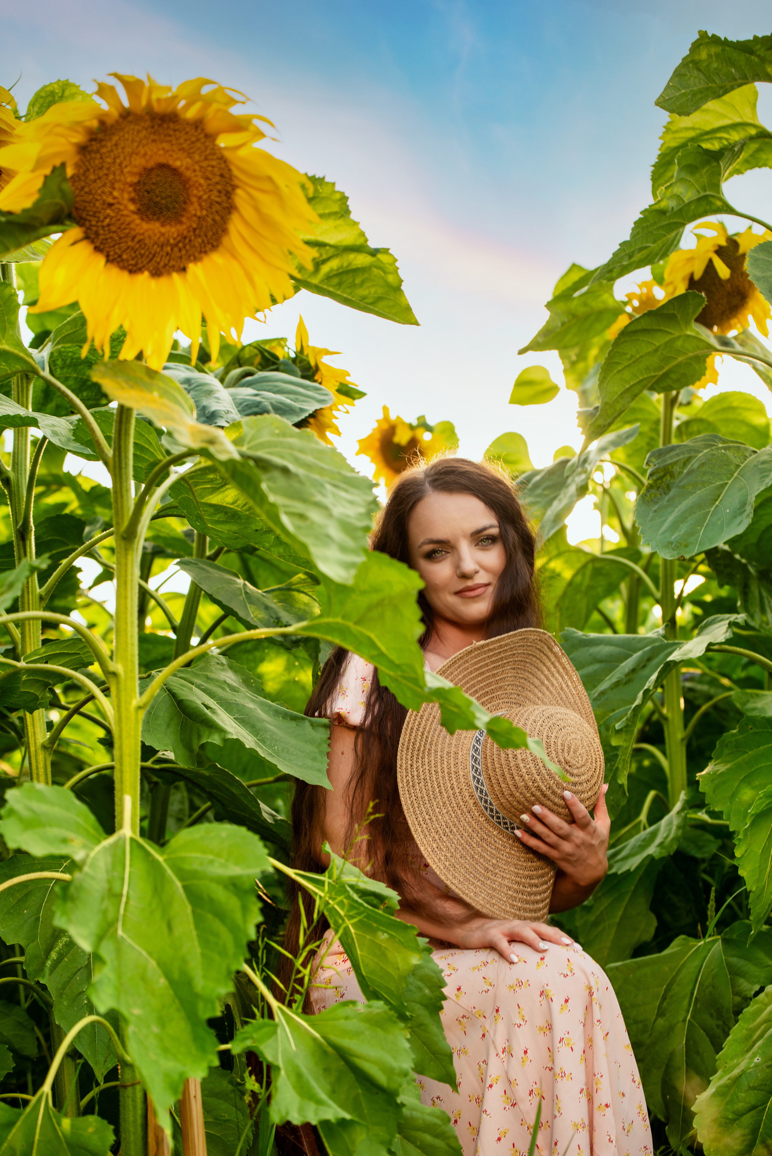 Подсолнухи. Марина. Ольга Ли свадебный семейный фотограф Иркутск