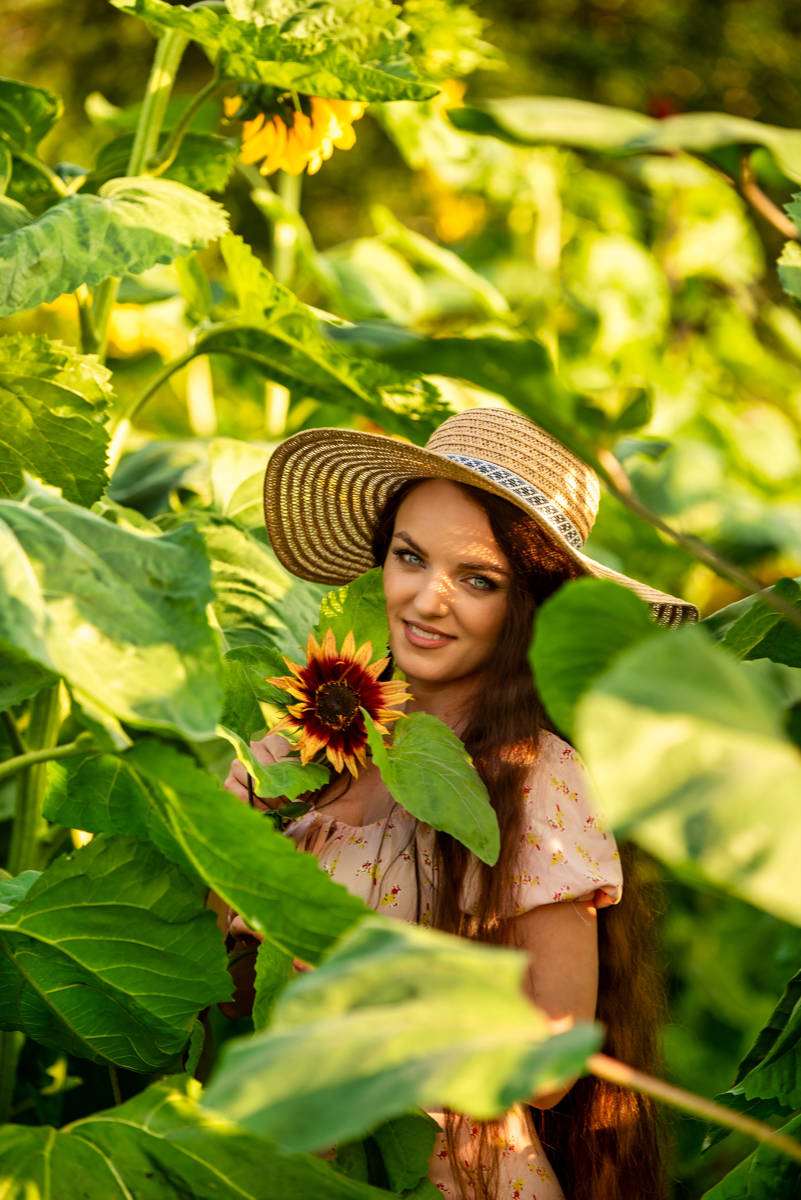 Подсолнухи. Марина. Ольга Ли свадебный семейный фотограф Иркутск