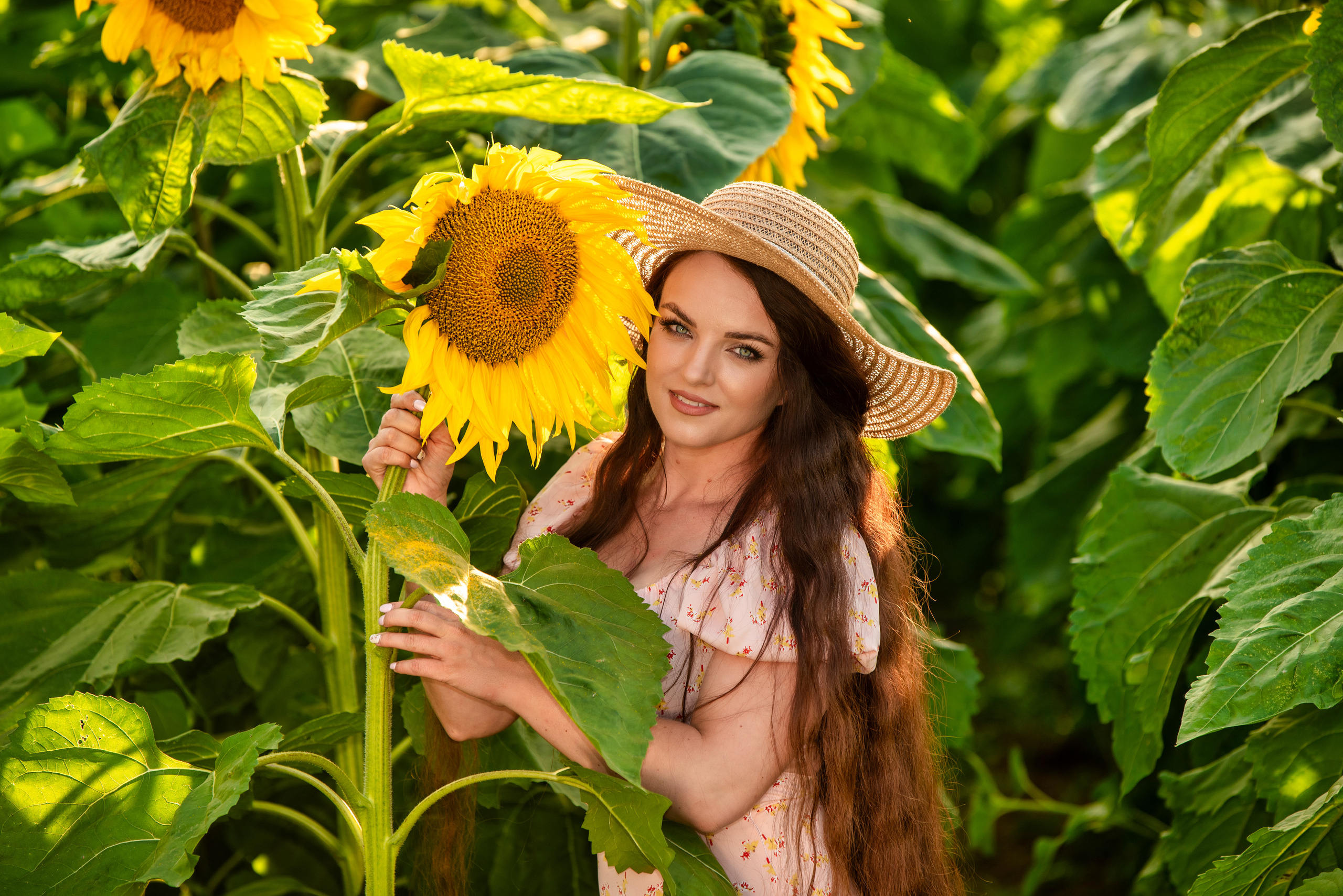 Подсолнухи. Марина. Ольга Ли свадебный семейный фотограф Иркутск