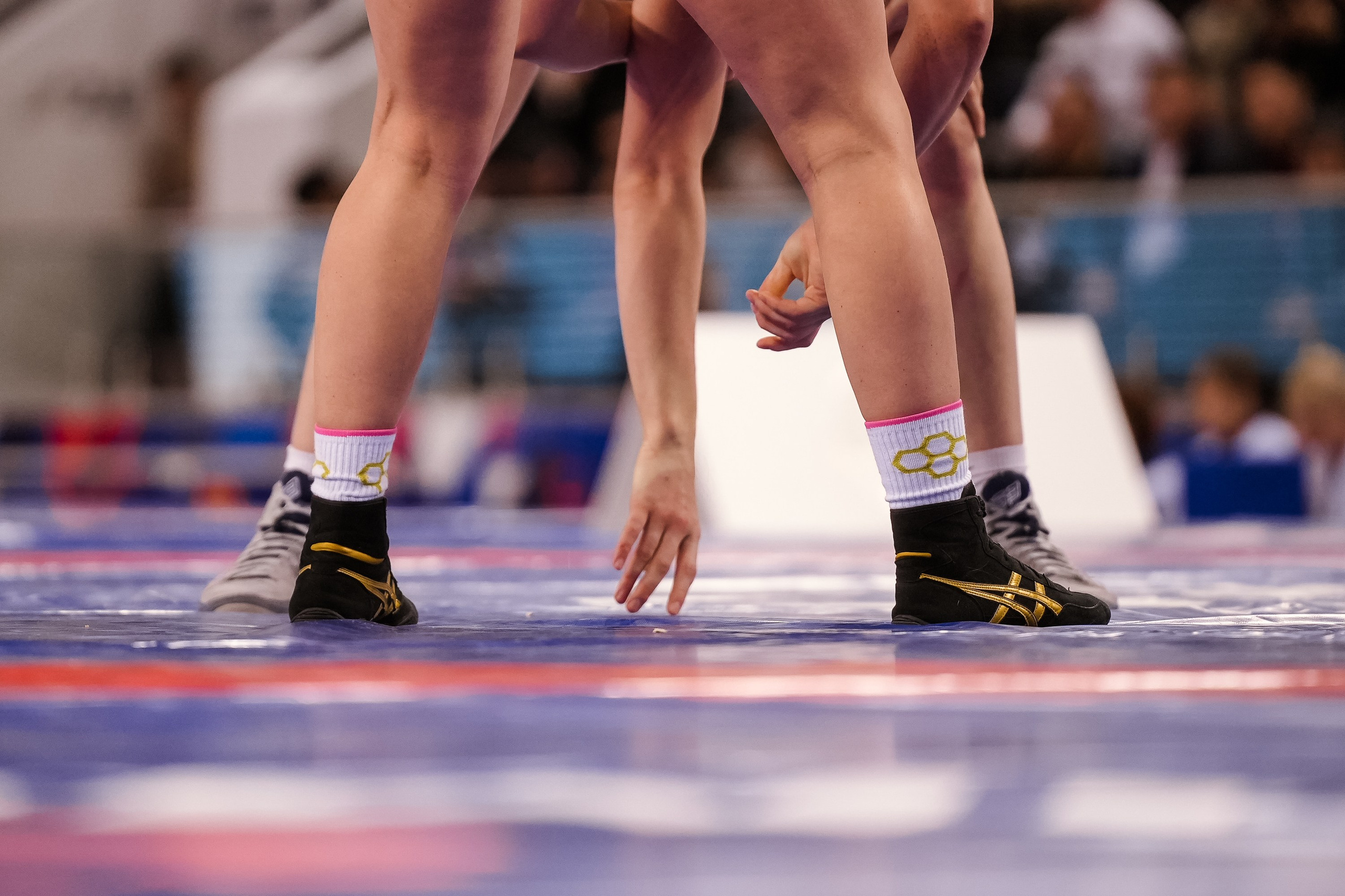 Кубок Ивана Ярыгина 2025 фотографии / ivan yarygin cup 2025 photos. Фотограф Анна Герман. Красноярск