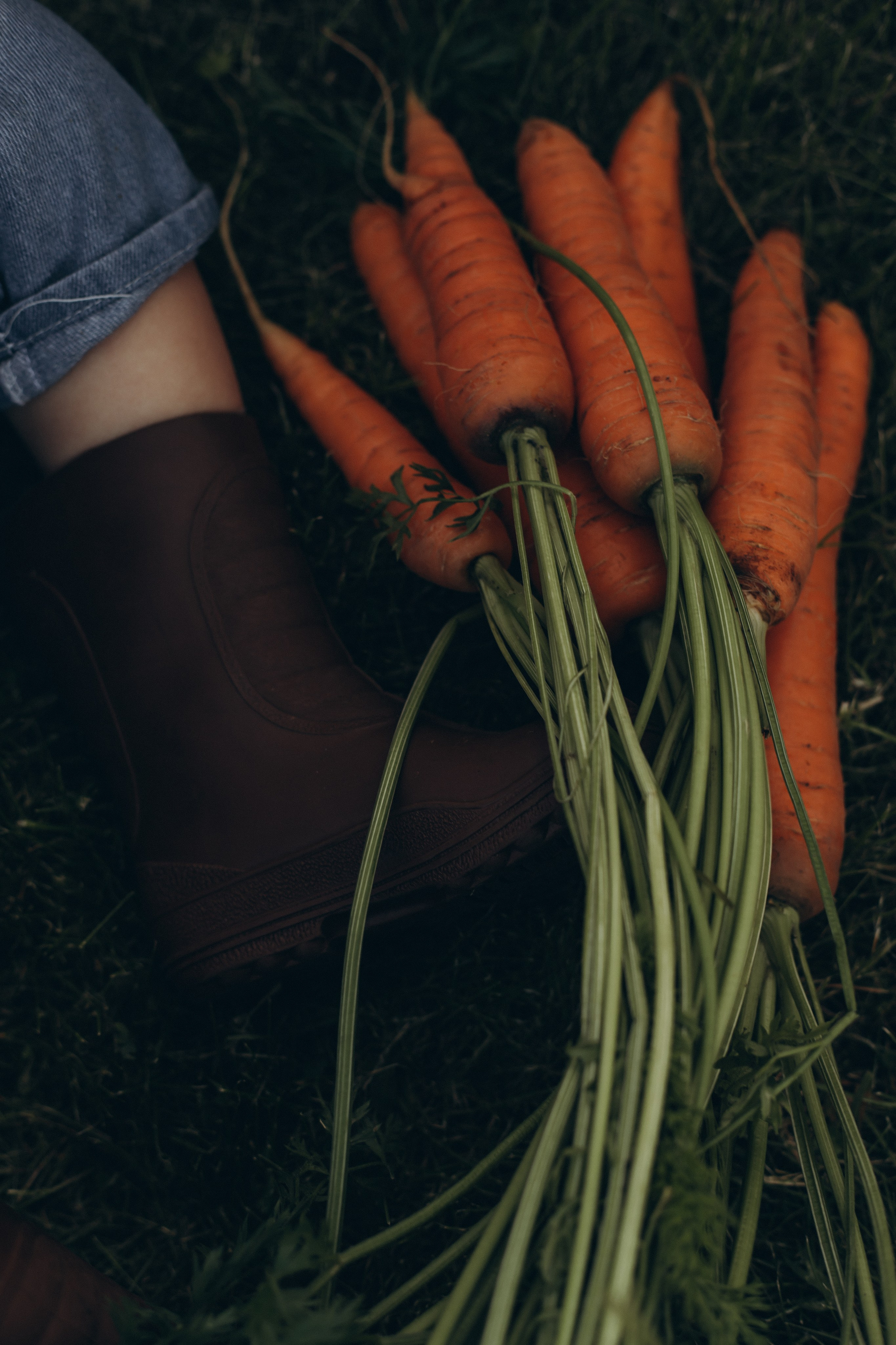 Морковная история 🥕🧡. Услуги