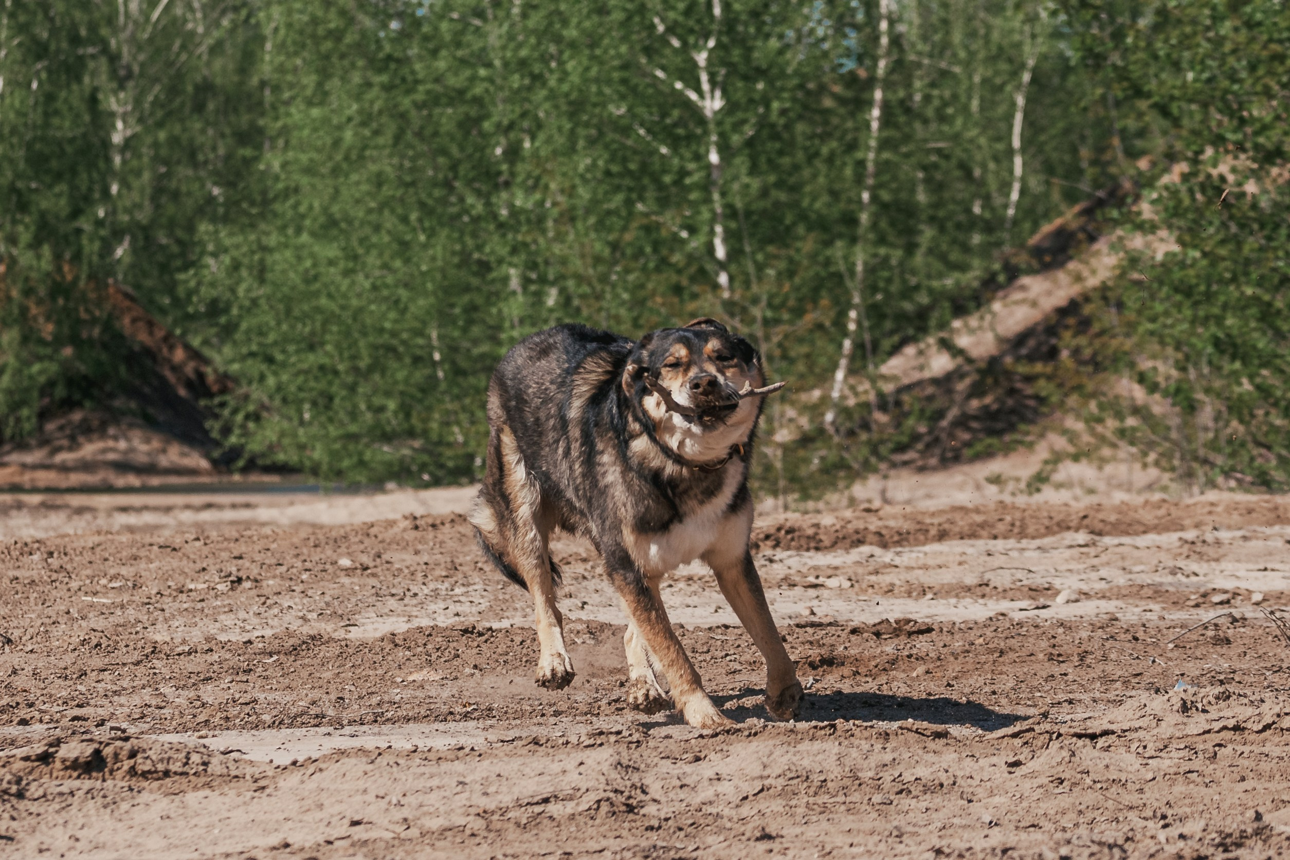 Кондуки. Фотограф-анималист Татьяна Степанова
