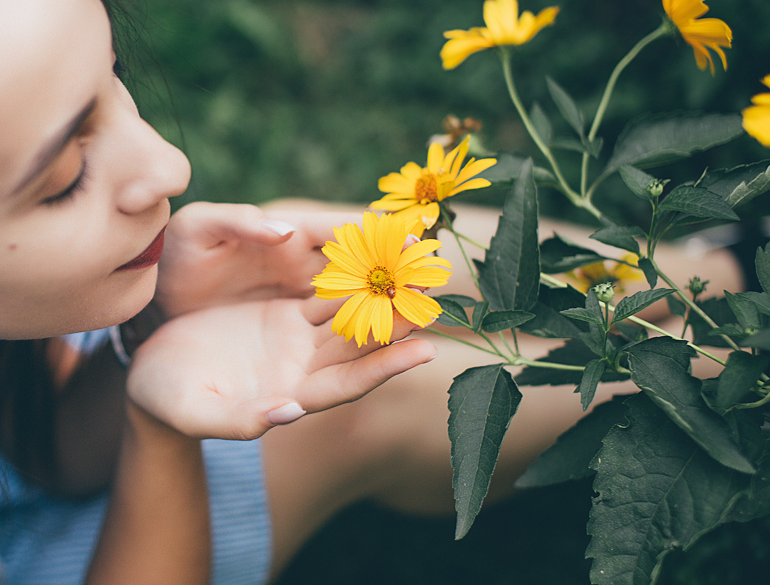 Чистяковская роща. Свадебный и семейный фотограф/видеограф в Краснодаре Наталья Осинская