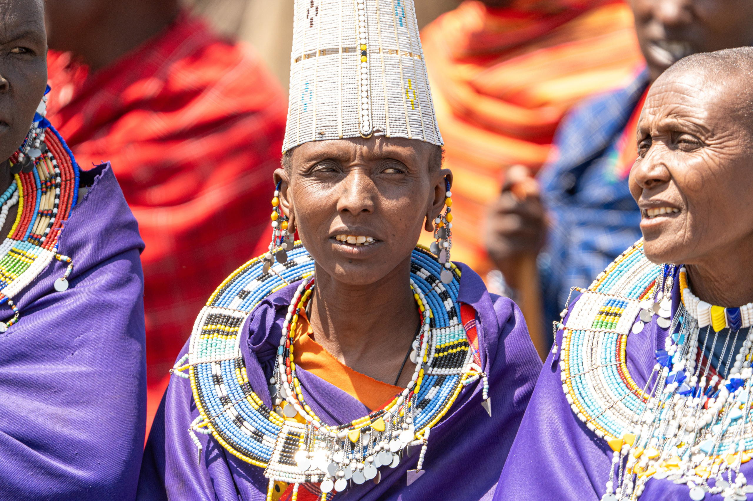 Танзания, сафари, 2025. Творческие сьемки