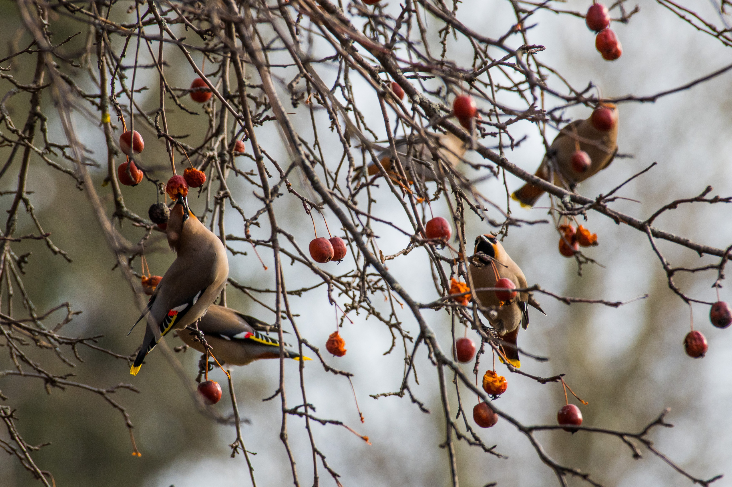 Фотоохота. Репортажный фотограф в Ижевске Константин Ившин