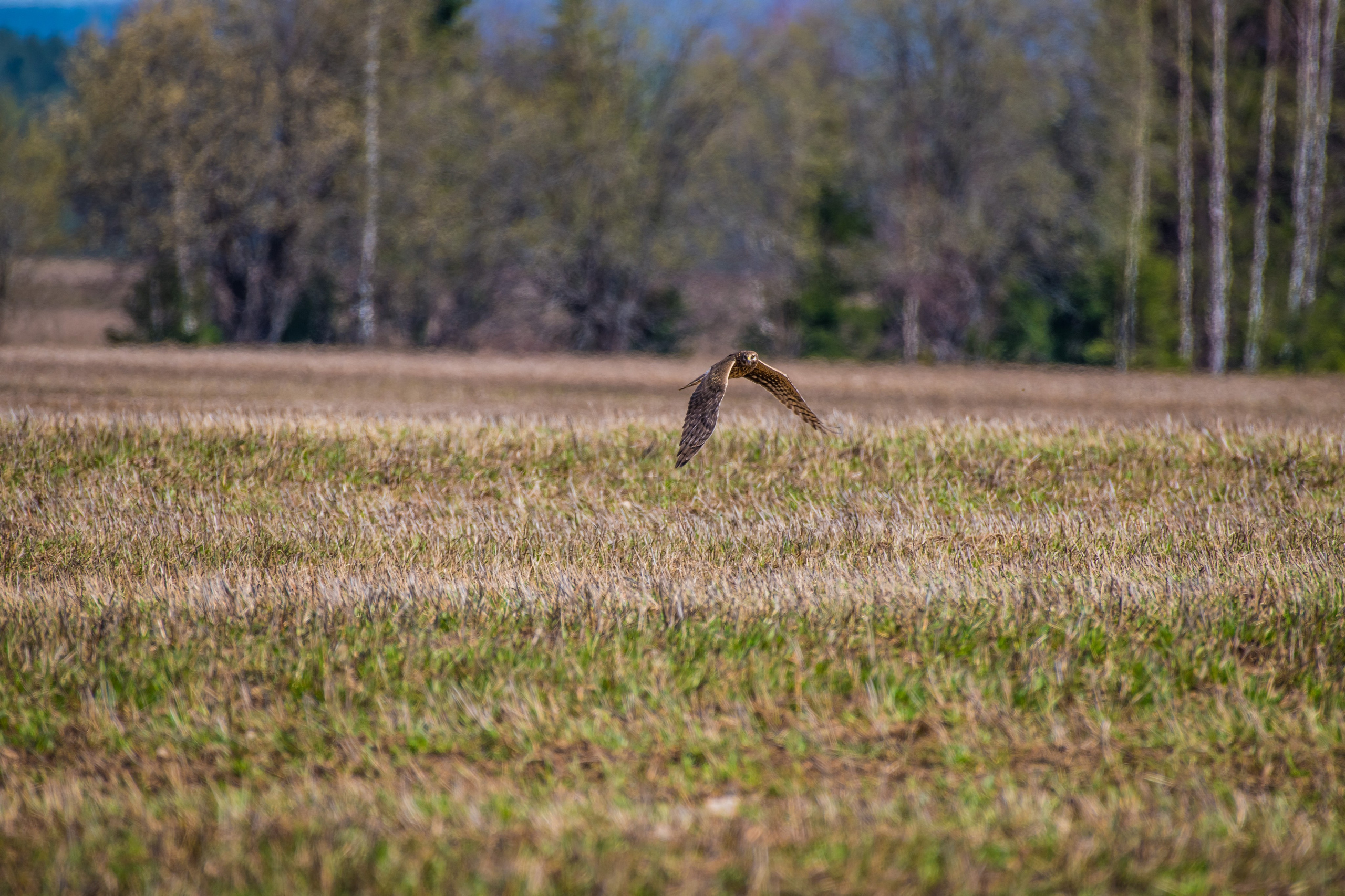 Фотоохота. Репортажный фотограф в Ижевске Константин Ившин