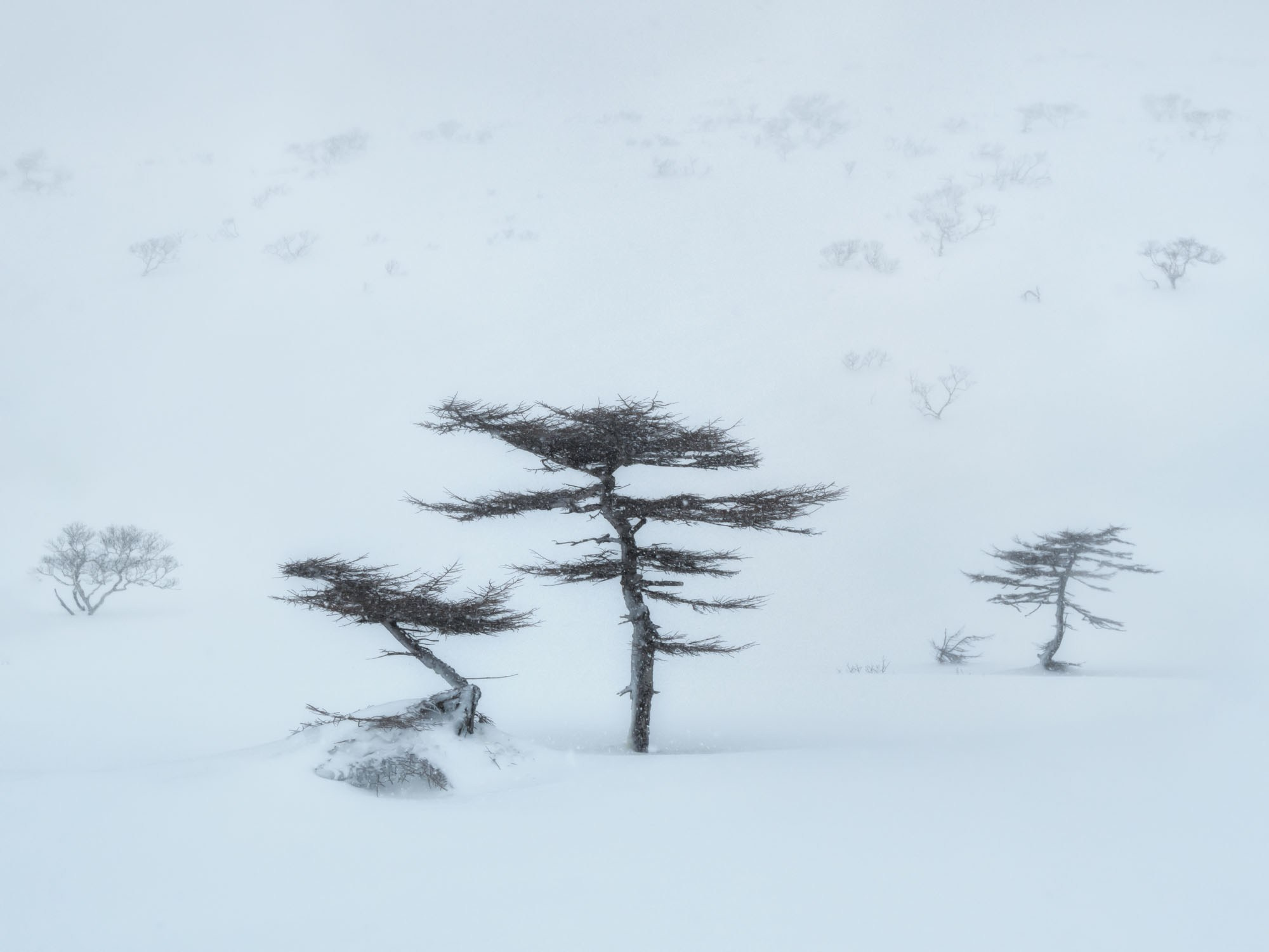 Фотогалерея Зимние Курилы