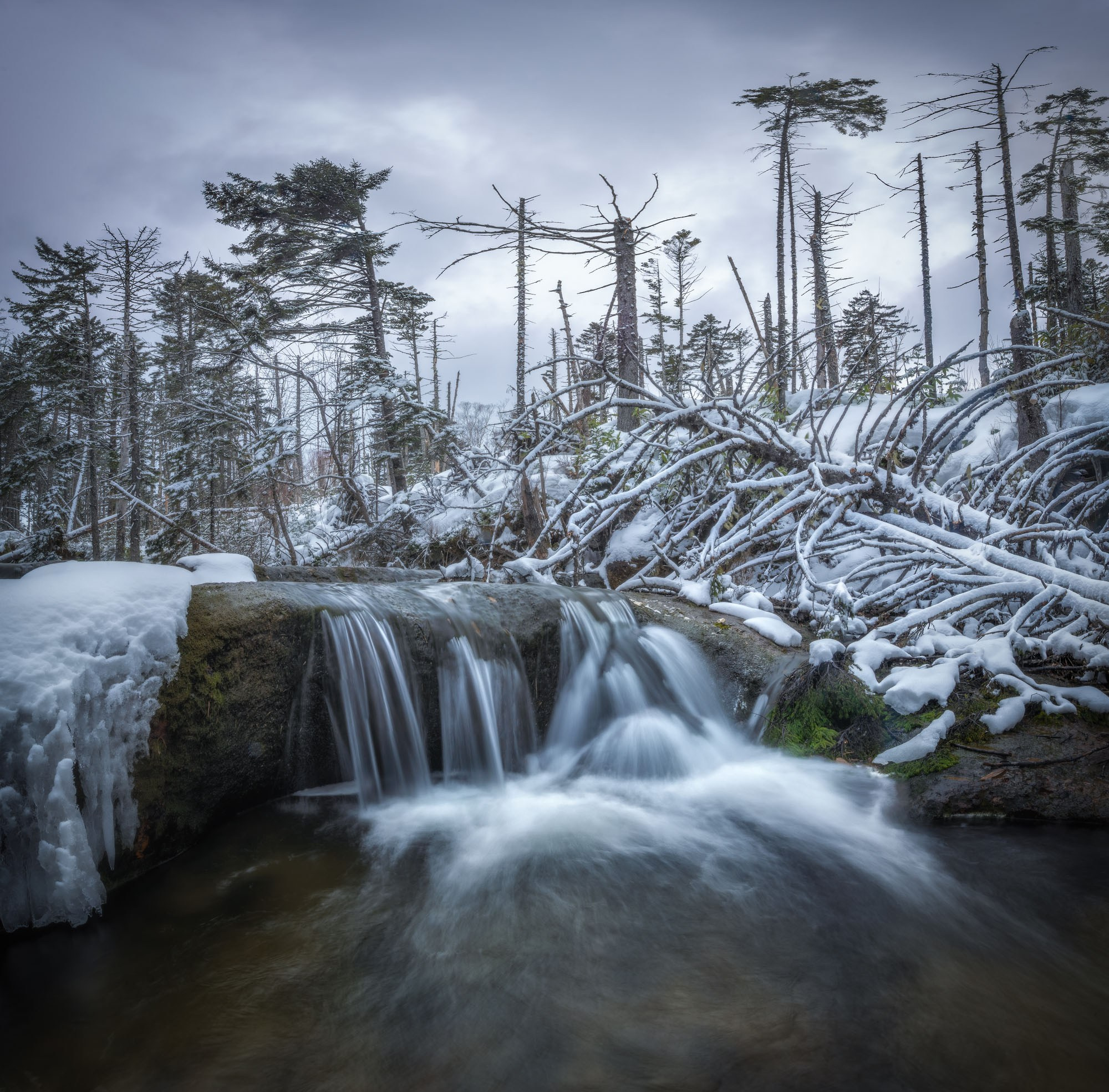 Фотогалерея Зимние Курилы