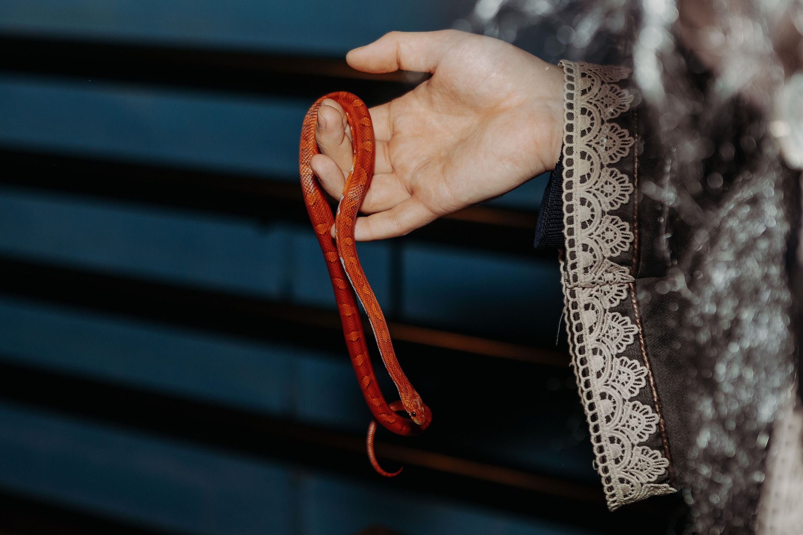 День рождения в стиле Гарри Поттера. Фотограф в Красноярске по выгодной цене