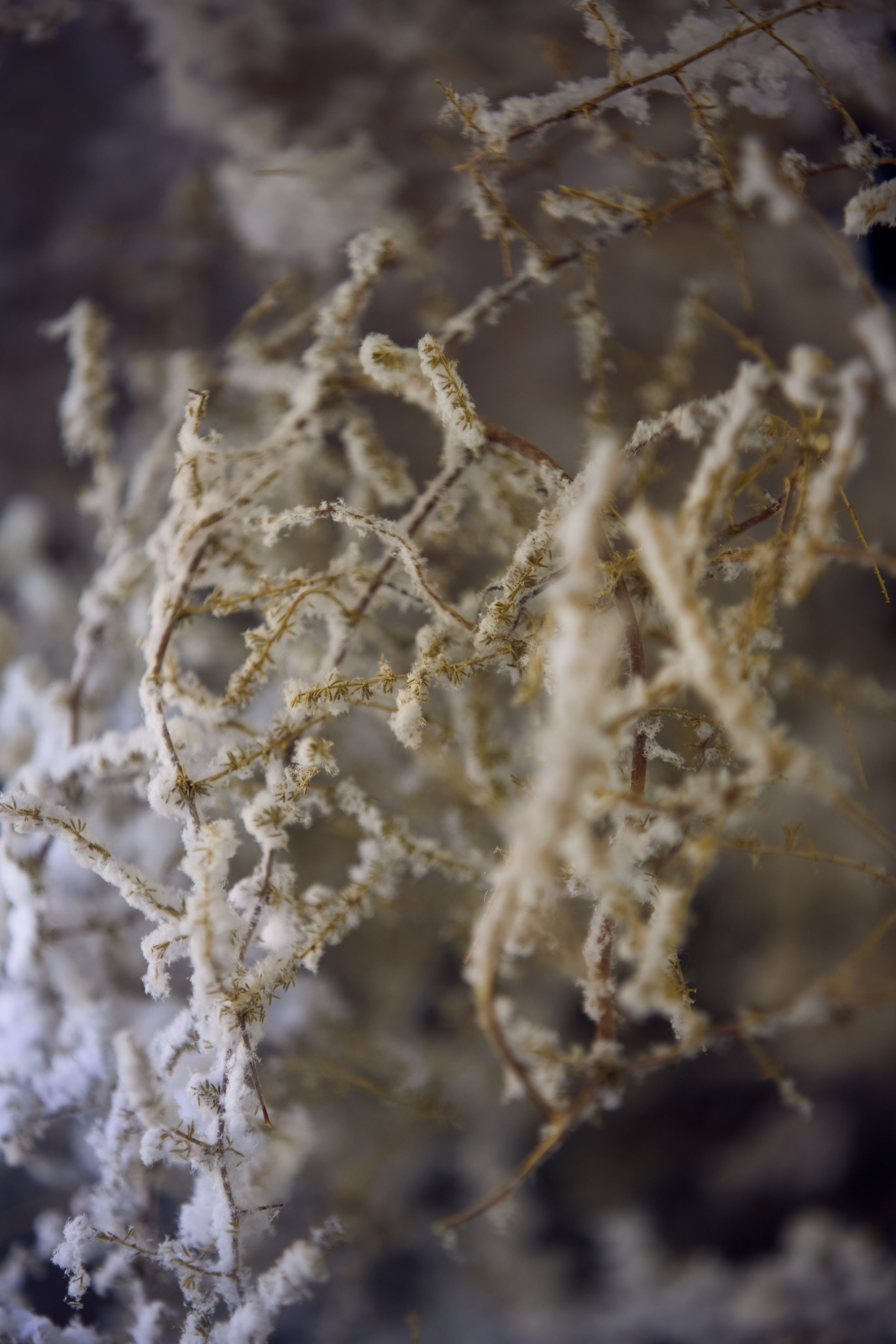 ART-HAOS. Фотограф видеограф в Москве и Московской области Саша Секрет