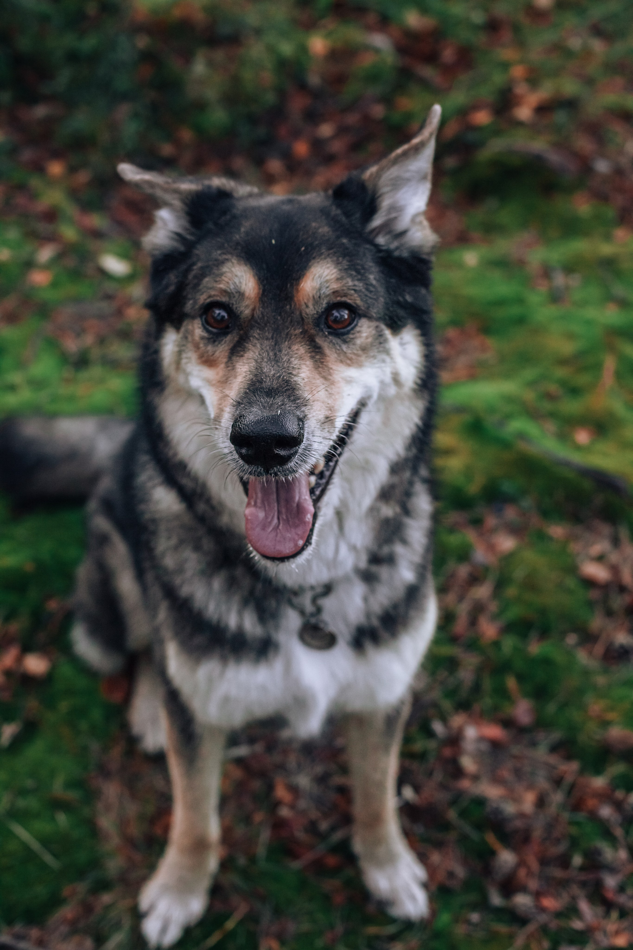 Фотопрогулка в Ленобласти. Фотограф-анималист Татьяна Степанова