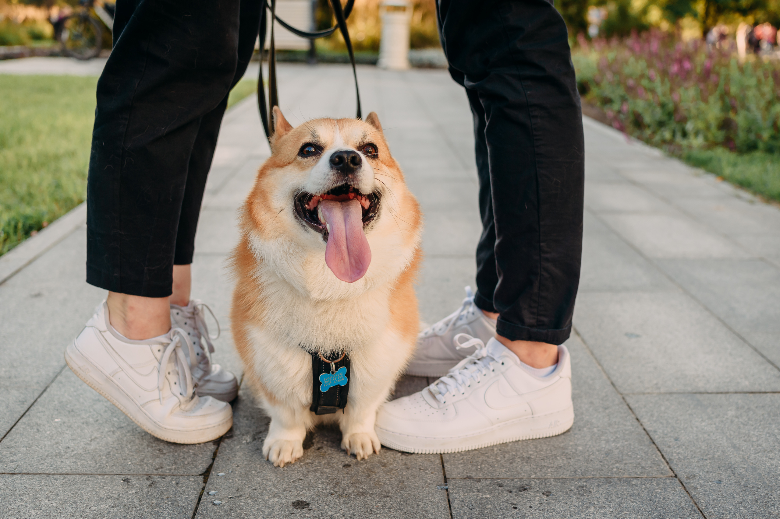 Леша и Ксюша: lovestory. Свадебный и семейный фотограф в Москве Юлия Шикалова