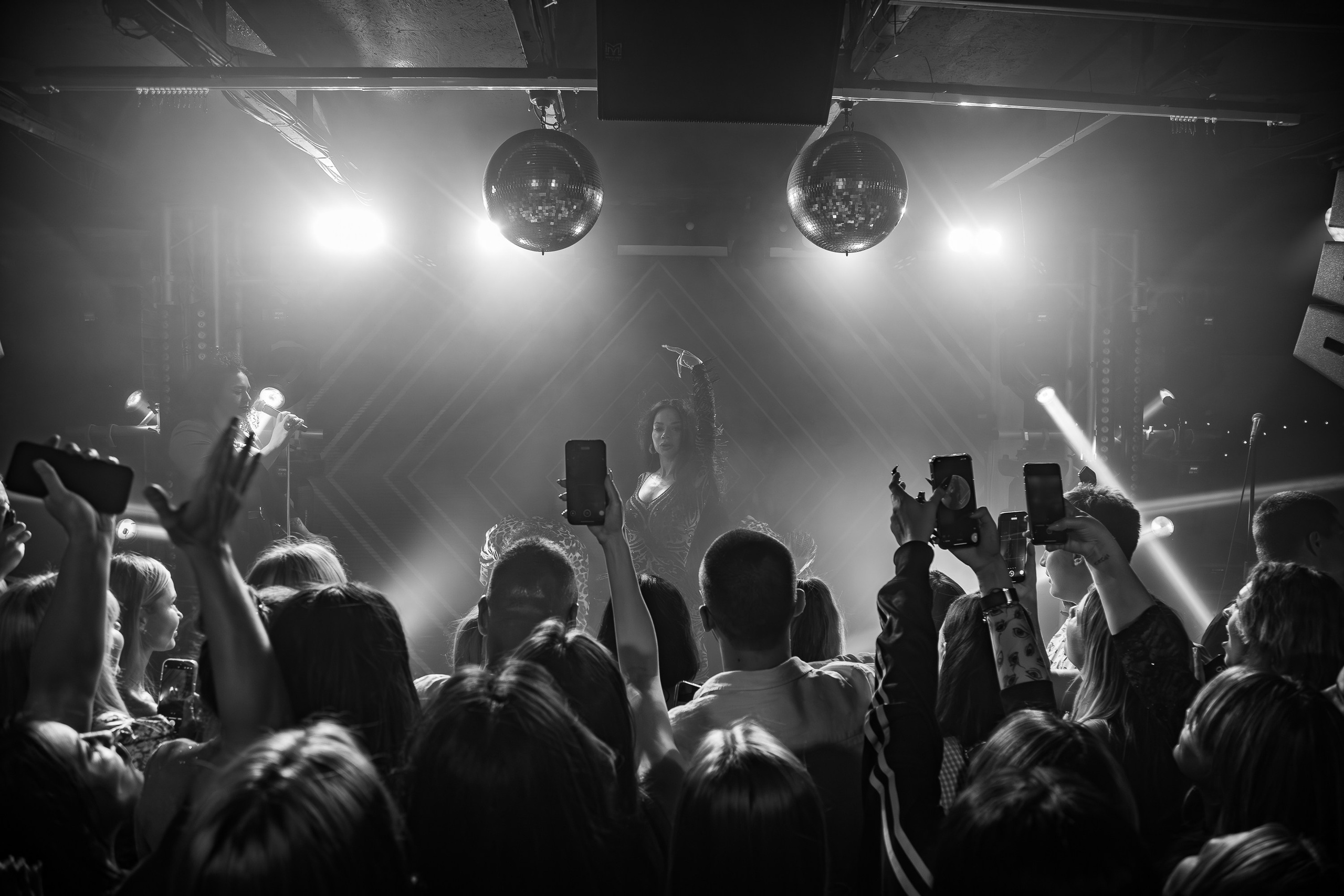 «Бьянка"_Чайка на пляже_Ялта_25.07.2025 г. Аминов Руслан | Фотограф