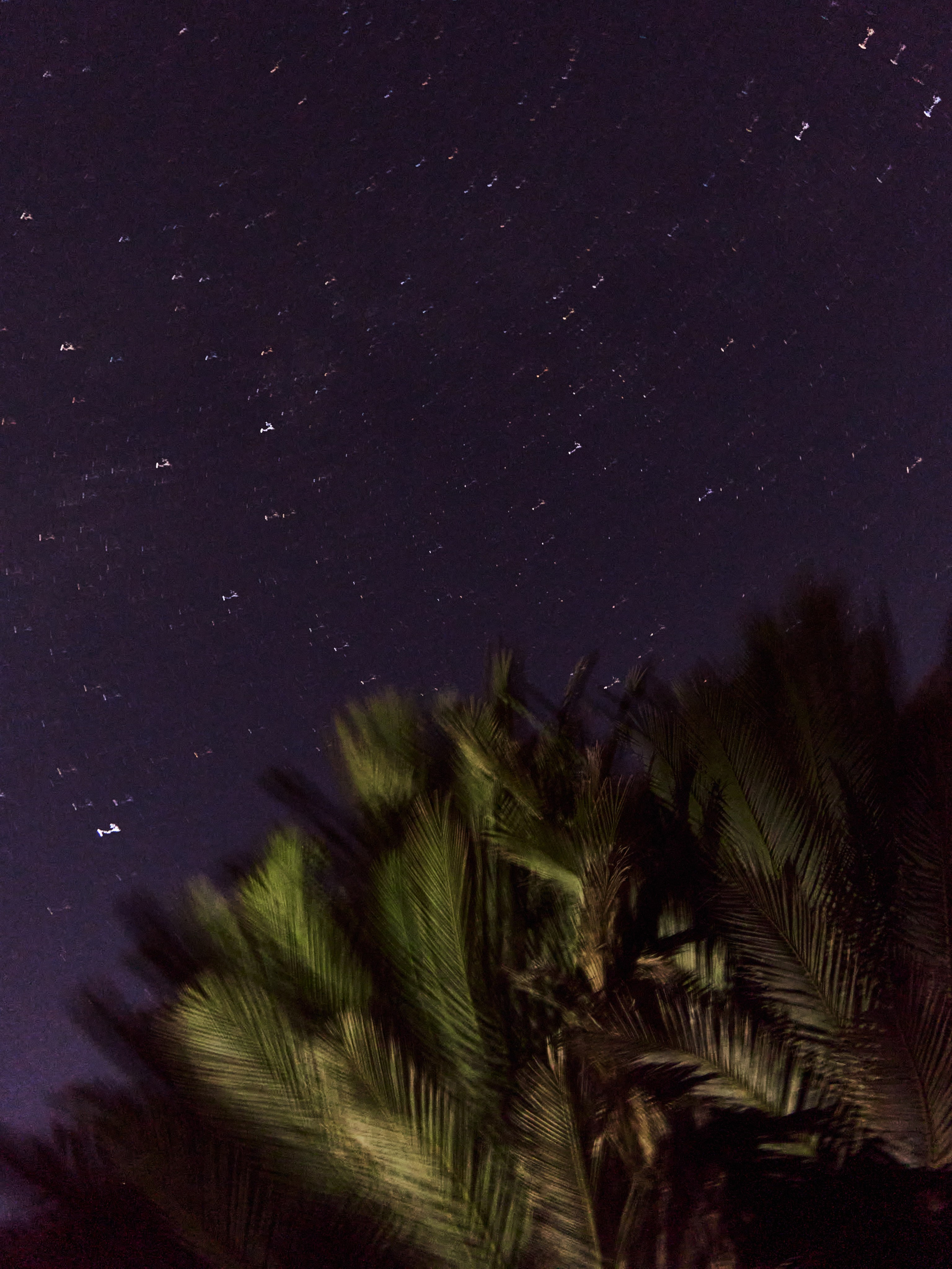 Другое 3. Jorgis — фотограф в Хургаде / обучение фотографии