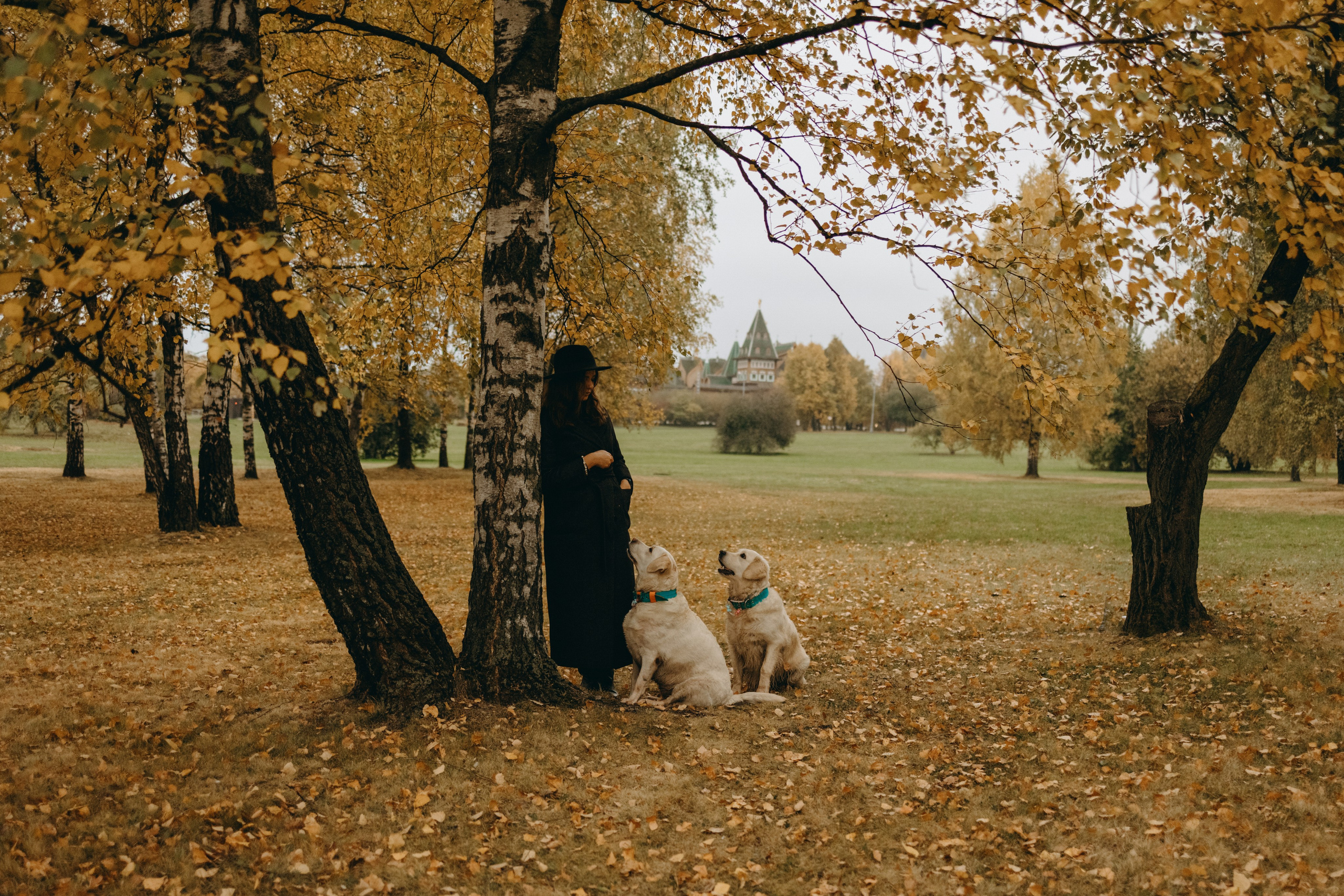 Женя и ее девочки. Фотограф — Анималист | Санкт-Петербург