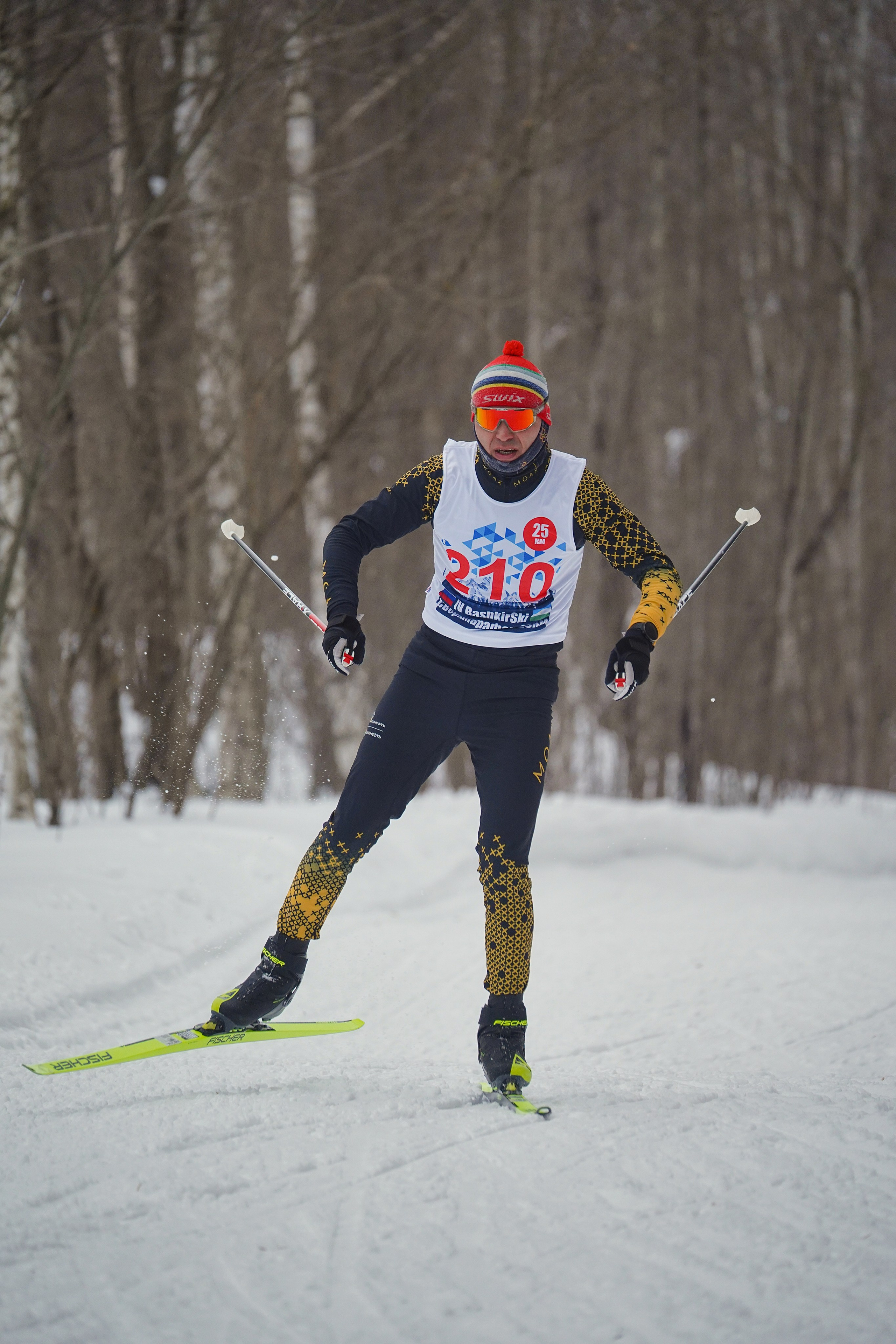 4-й BASHKIR-SKI Лыжный Сверхмарафон 100 км. Pupov.png