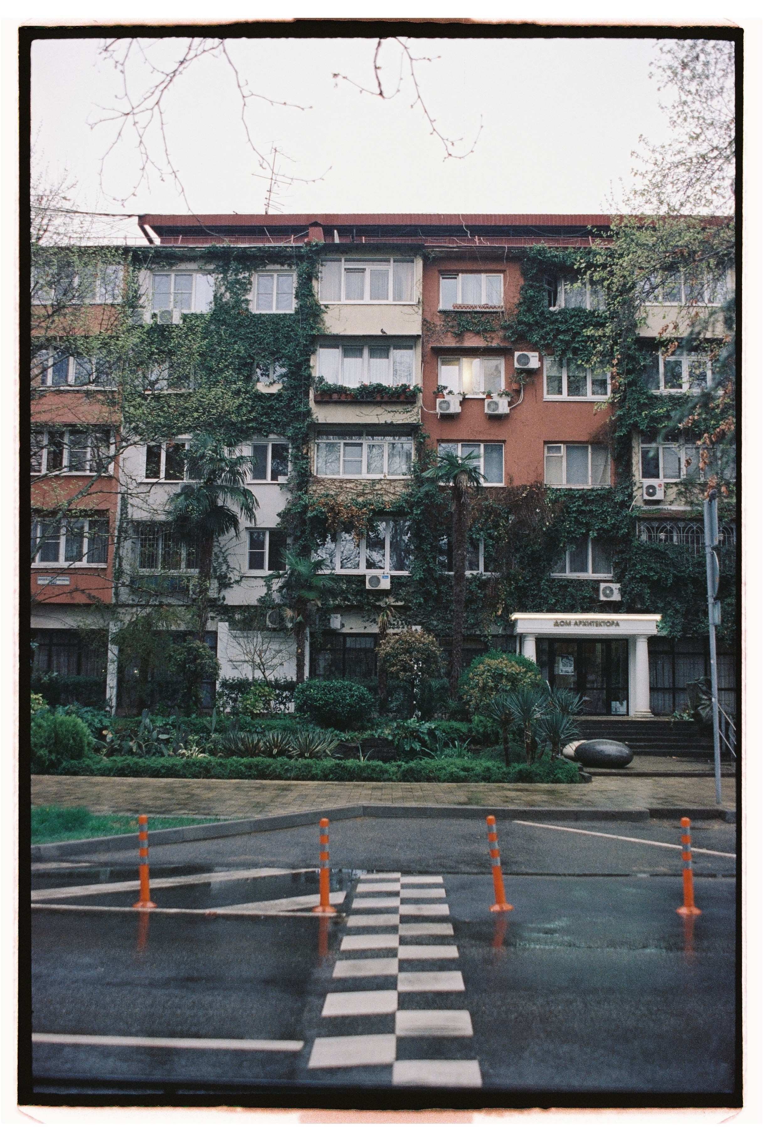 Пленка. Фотограф Дарья Комарова