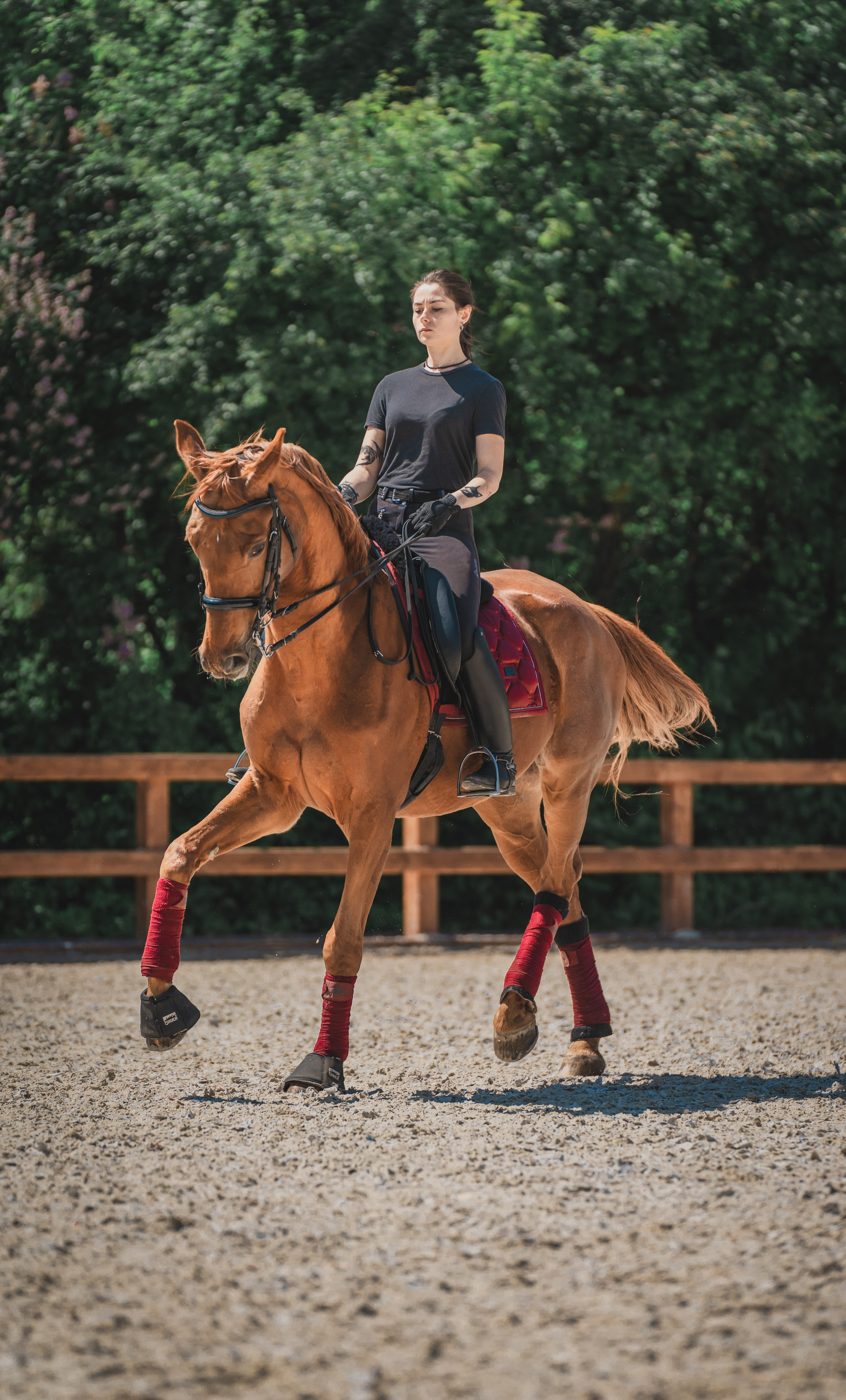 Валерия и Ланселот. Тренировка по выездке. КСК «Урожай». Фотограф в Москве Ленарская Дарья